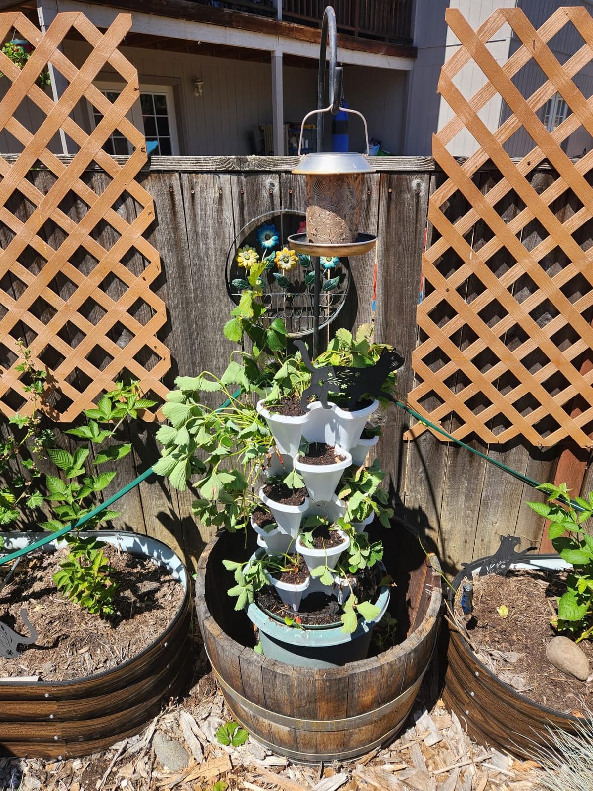 GameXcel Vertical Planter Tower - 5 Tier Stackable Garden Planters with Wheels and Tools Plant Pots for Strawberry Herb Flower and Vegetable Indoor Outdoor Use Dark Gray customer photo 1