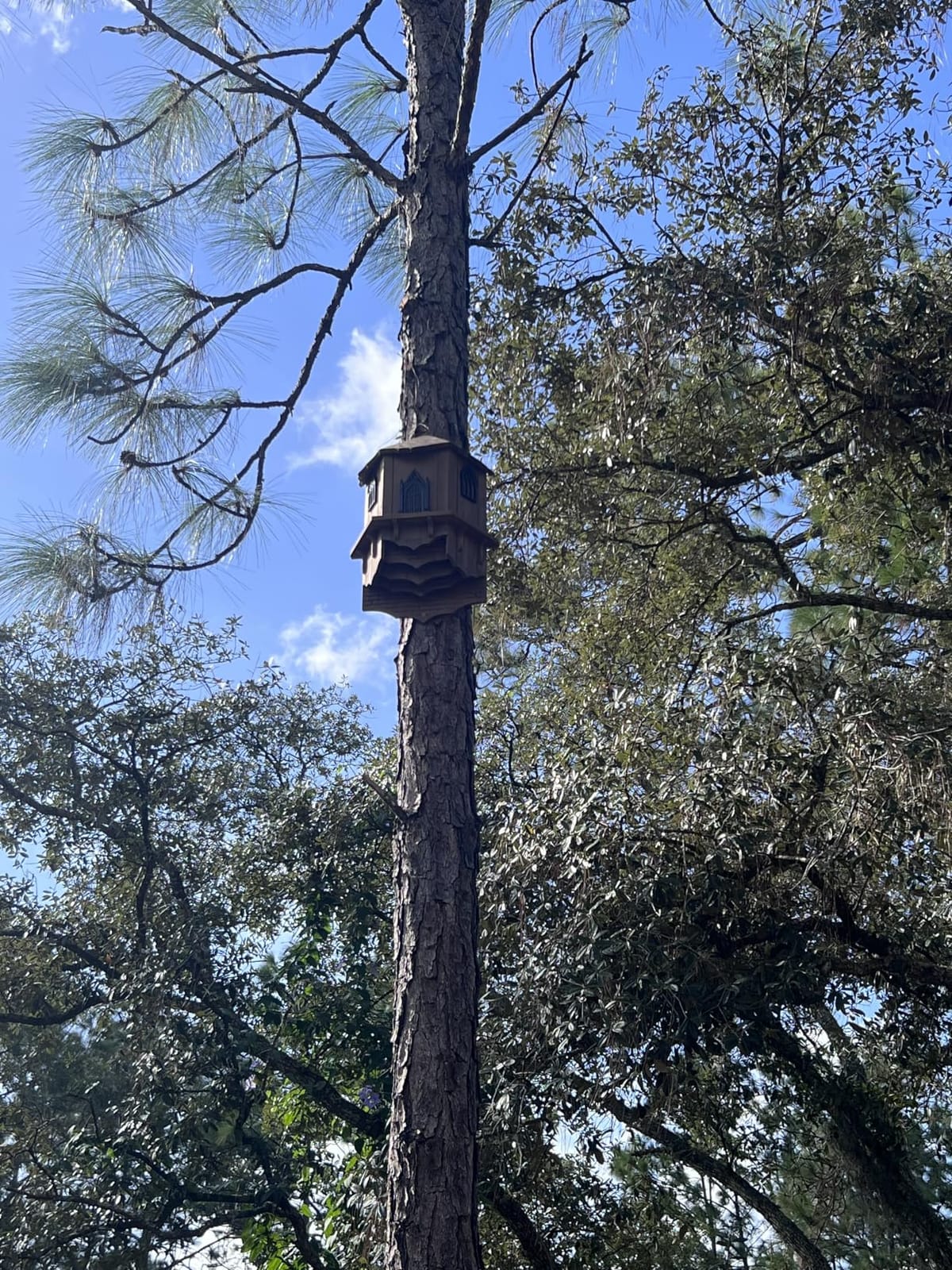 VIREESR Bat House for Outdoors, Castle 3-Chamber Bat Box, 100-Capacity customer photo 1
