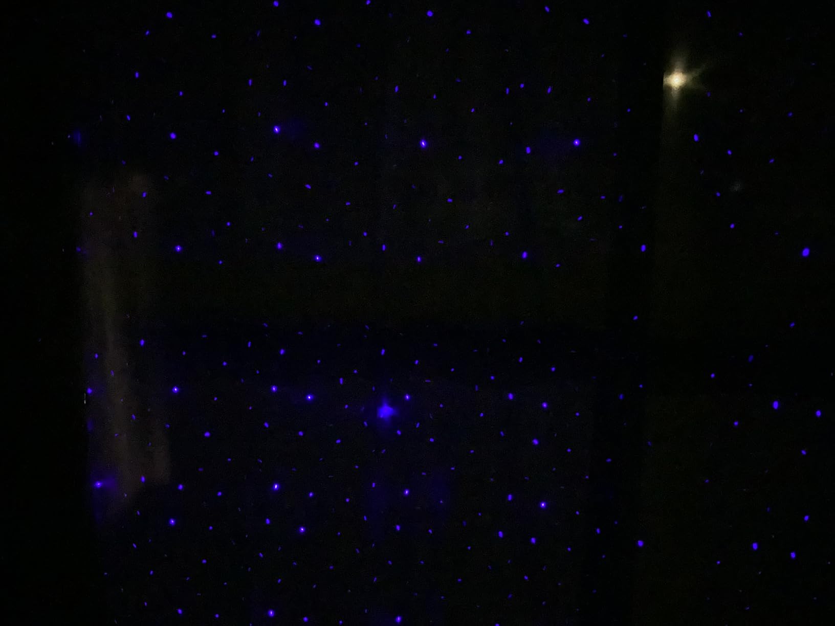 Laser Christmas Projector Lights Outdoor, Firefly Light Show for Trees customer photo 1