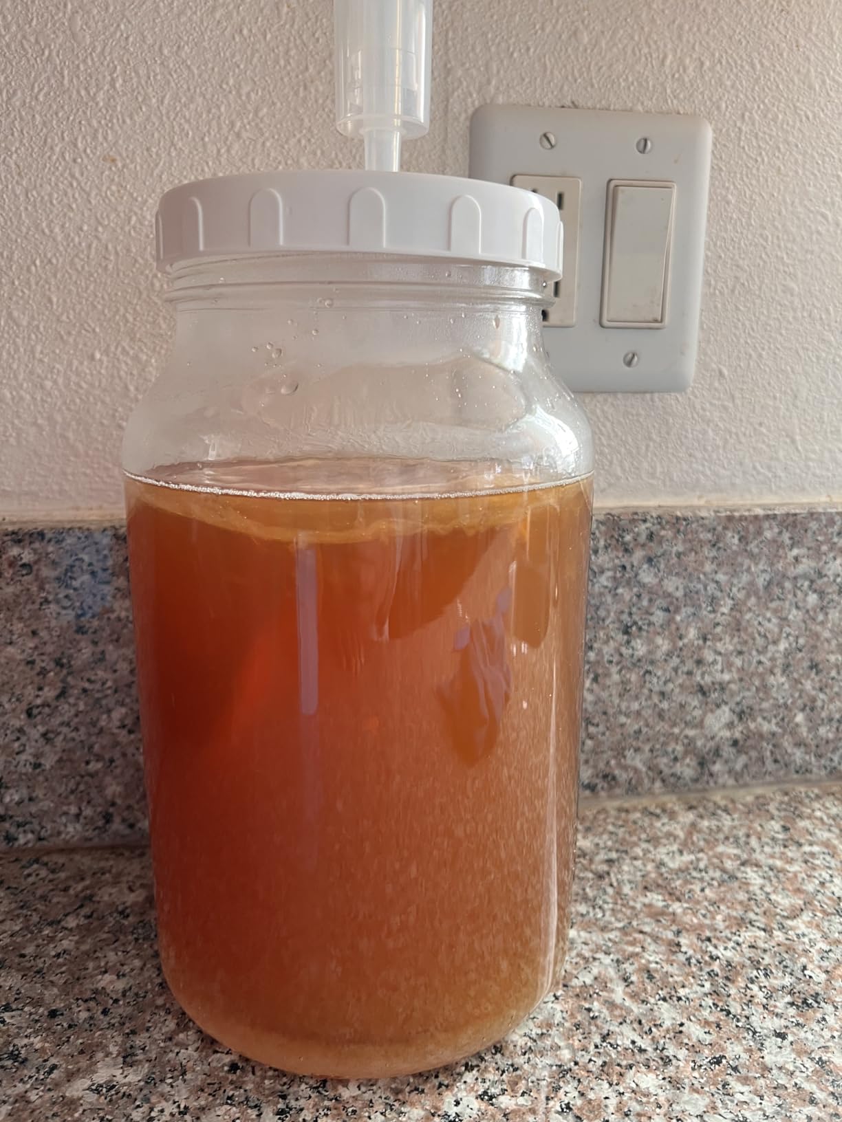 Qianfenie 1 Gallon Fermentation Jar with 3 Airlocks & 2 Screw Lids, 2 Pack | Wide Mouth, Airtight Lids, Scale Mark, Heavy-Duty Glass Jars for Kombucha, Mead Making, Sauerkraut, Sourdough Starter, Pickle customer photo 1