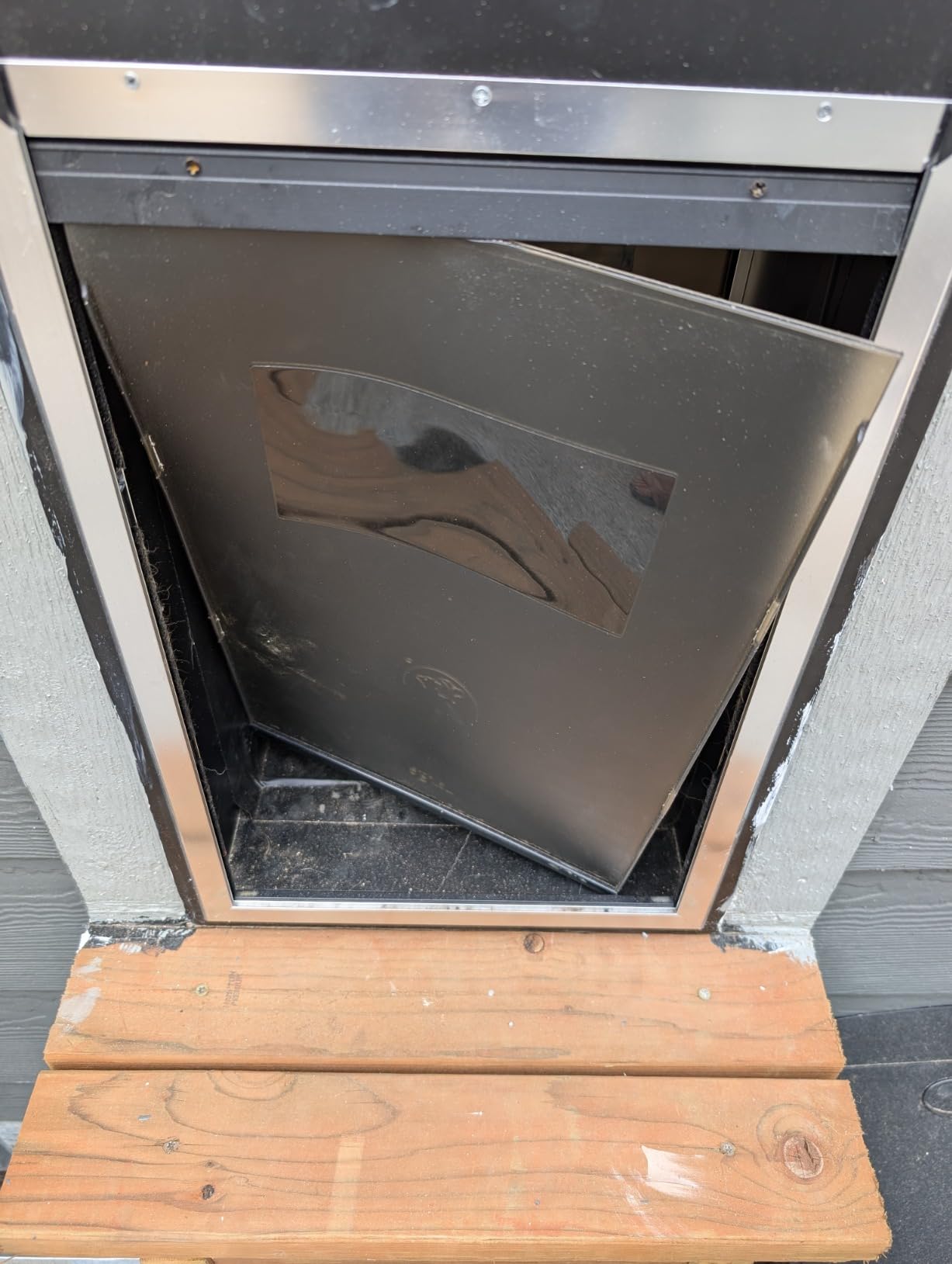ClawJaw Steel Large Dog Door for Exterior Wall customer photo 2