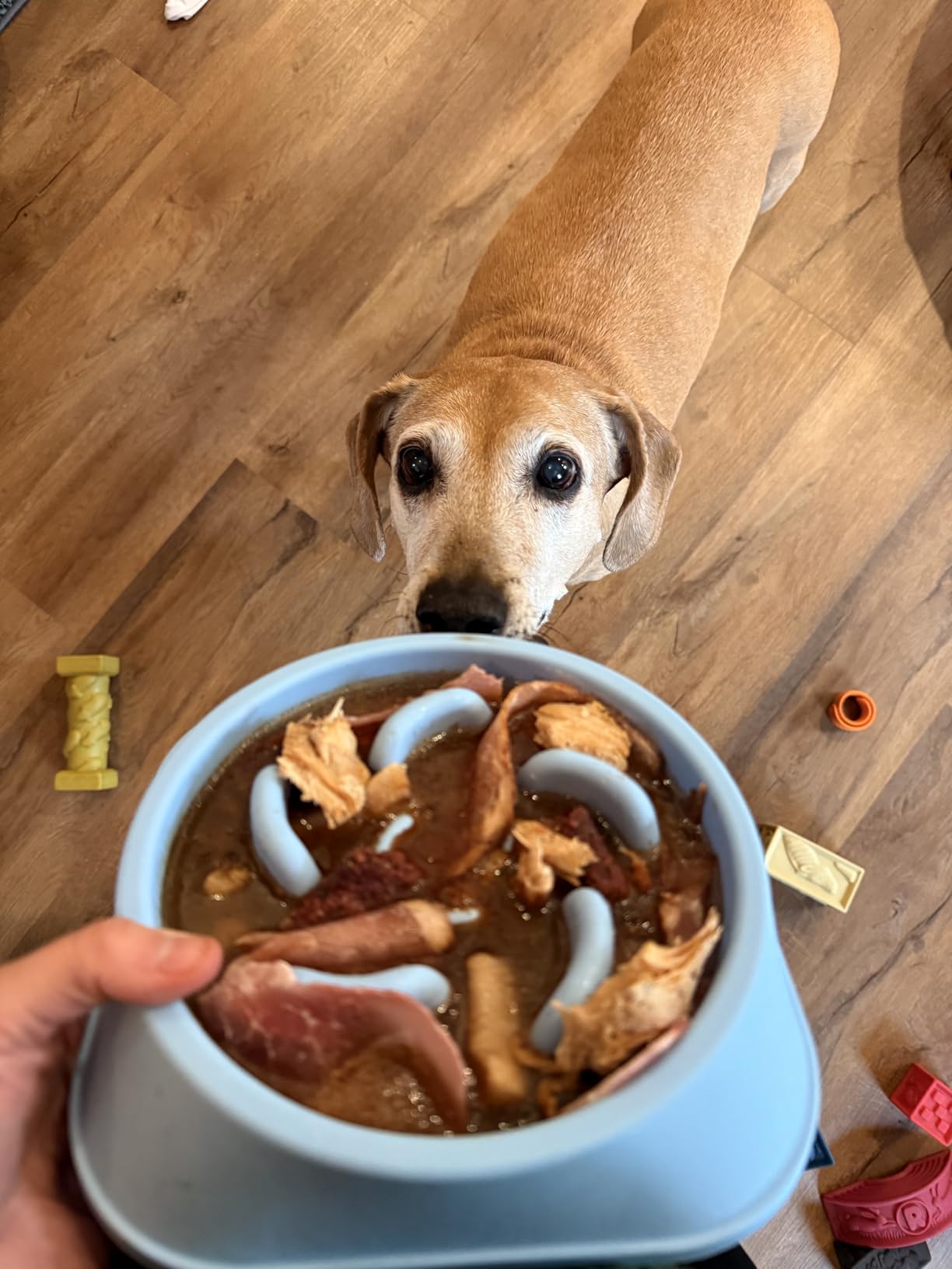 MateeyLife 2-Pack Slow Feeder Dog Bowls, 2 Cups, Dog Puzzle Feeder Bowl | Food-contact safe, dishwasher safe, non-slip base, maze design customer photo 1