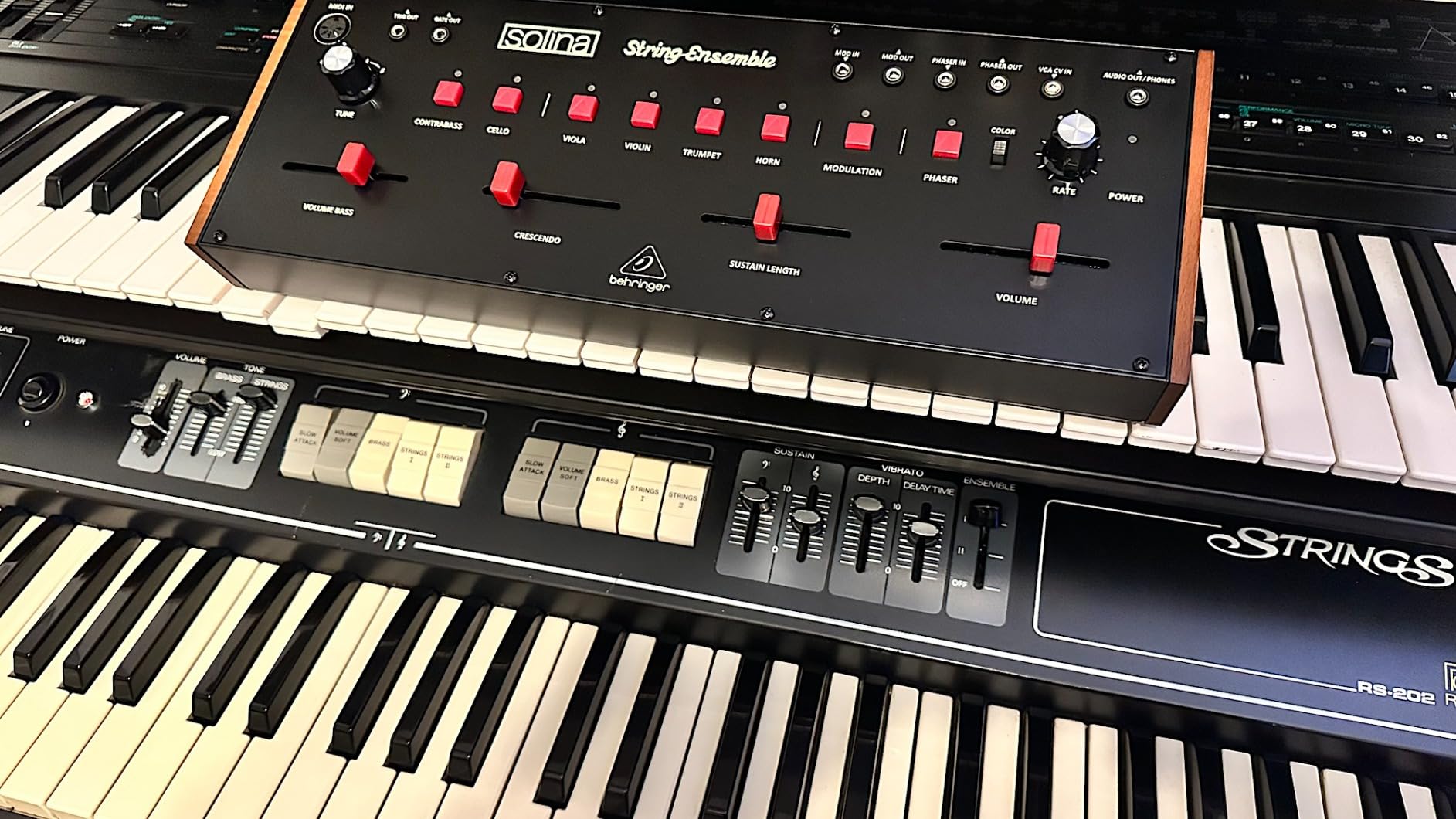 Behringer SOLINA STRING ENSEMBLE Classic Analog String Ensemble Synthesizer with 49-Voice Polyphony, BBD customer photo 1
