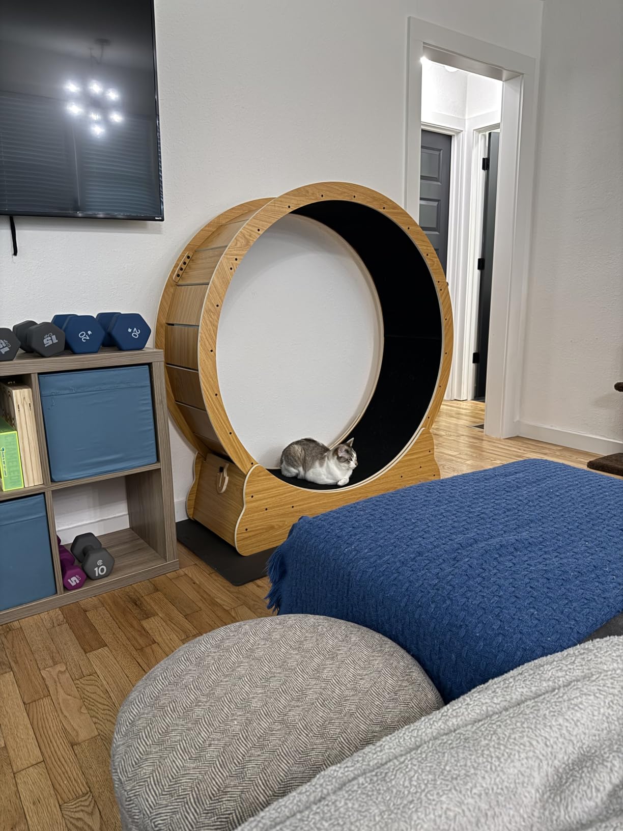 Nordic Beast 48'' XL Cat Wheel - Safe, Quiet & Stable Exercise Wheel for Large Indoor Cats up to 45 lbs - 15.7'' Extra-Wide Surface Fits 2 Cats Side by Side & Prevents Wobbling, 1-Year Warranty customer photo 2