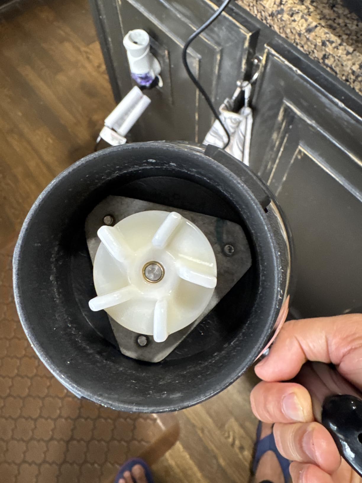 VIDIEM METALLICA STEEL 750W / 110V Free Service Kit included - INDIAN MIXER GRINDER USA customer photo 1