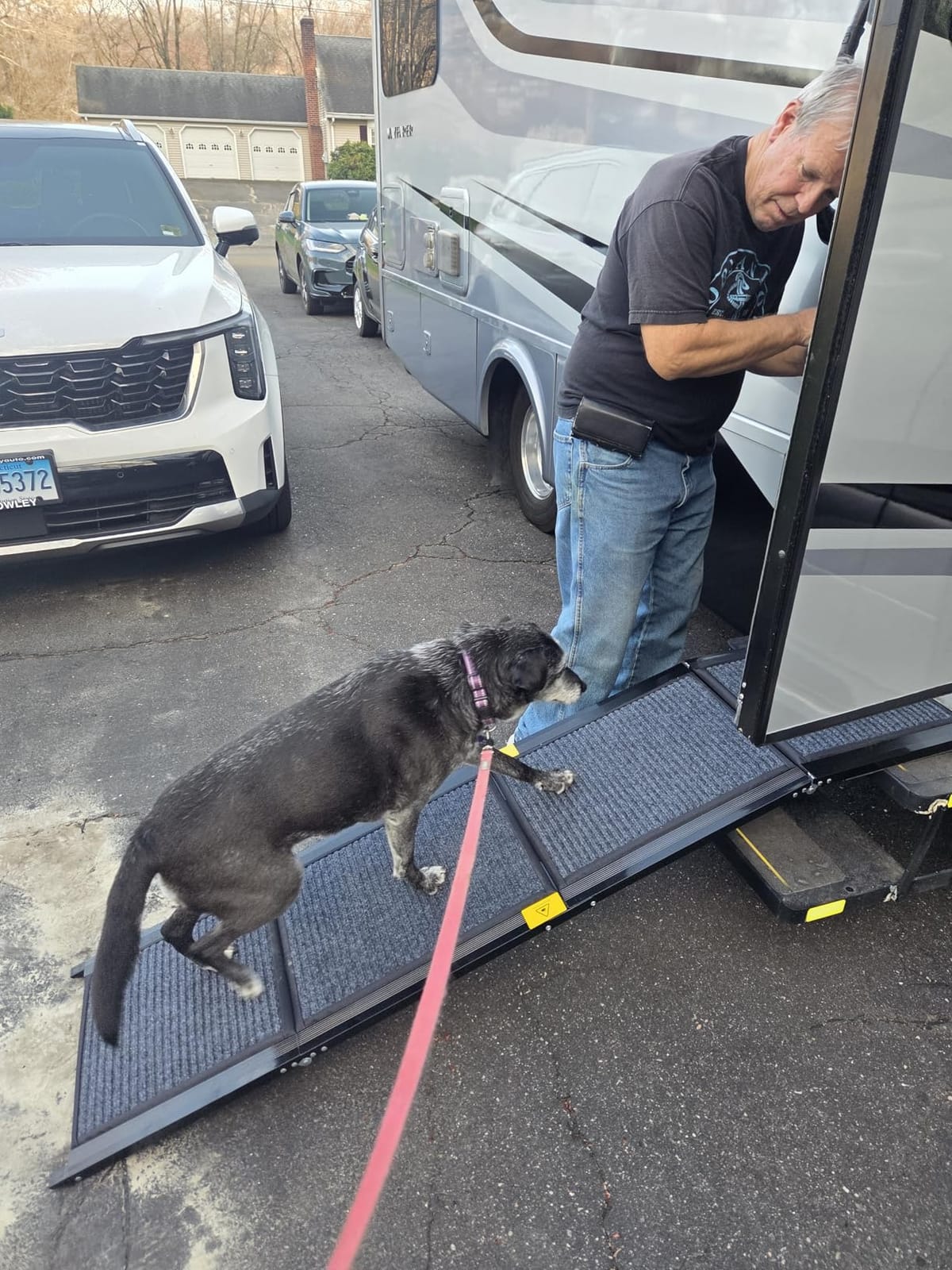 Dog Ramp for Car 63