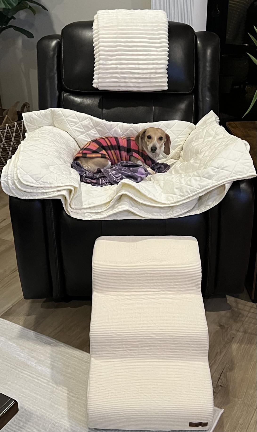 Lesure Dog Stairs for Small Dogs, Beige, 3 Step Pet Ramp for Bed and Couch customer photo 1