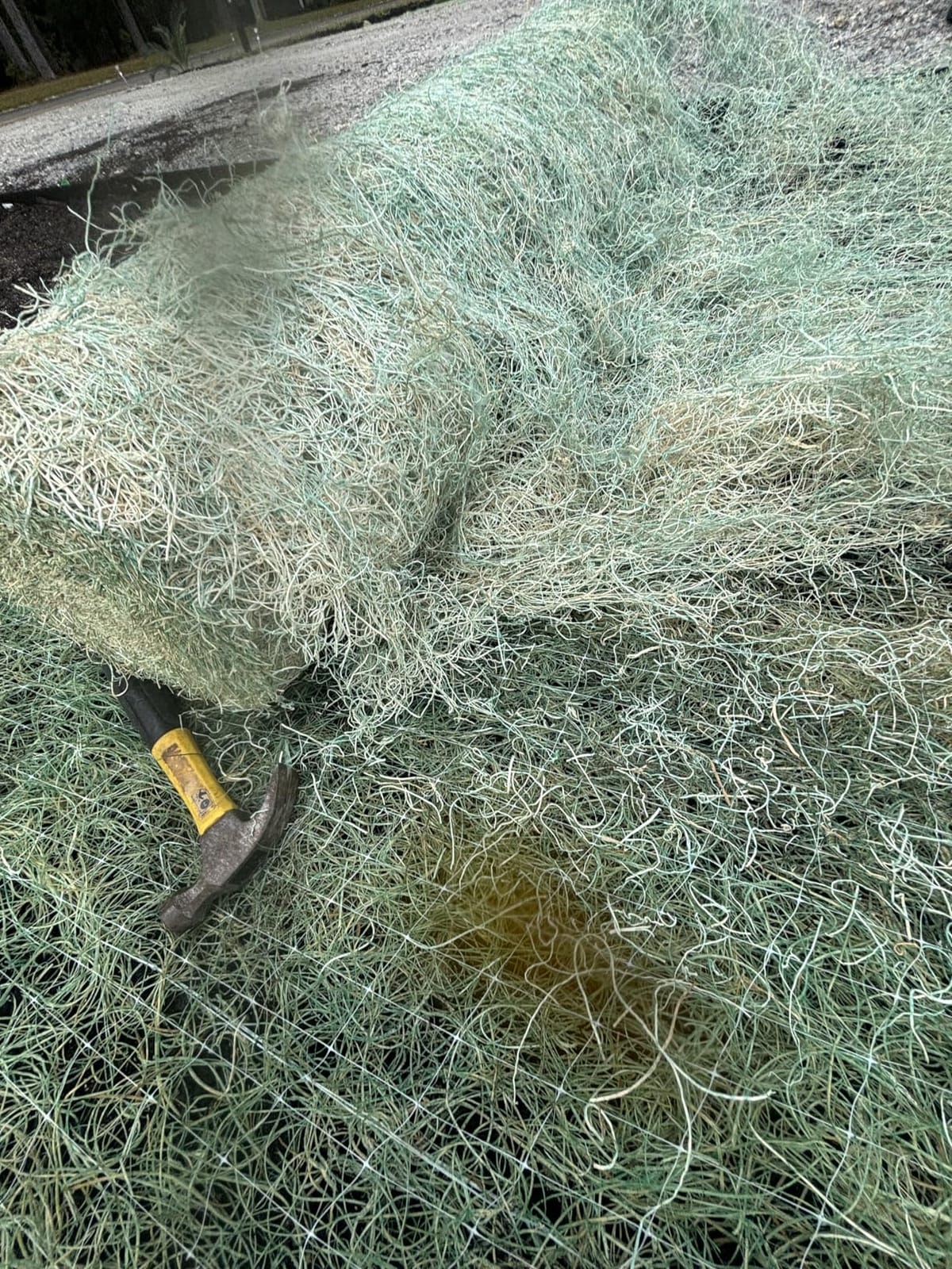 Farm Plastic Supply - Erosion Control Blanket - Straw Garden and Landscape Cover, Erosion Control Blanket, Straw Blanket, Erosion Control, Mulch, Slope Stabilizer, and Seed Protector (8' x 112.5') customer photo 1