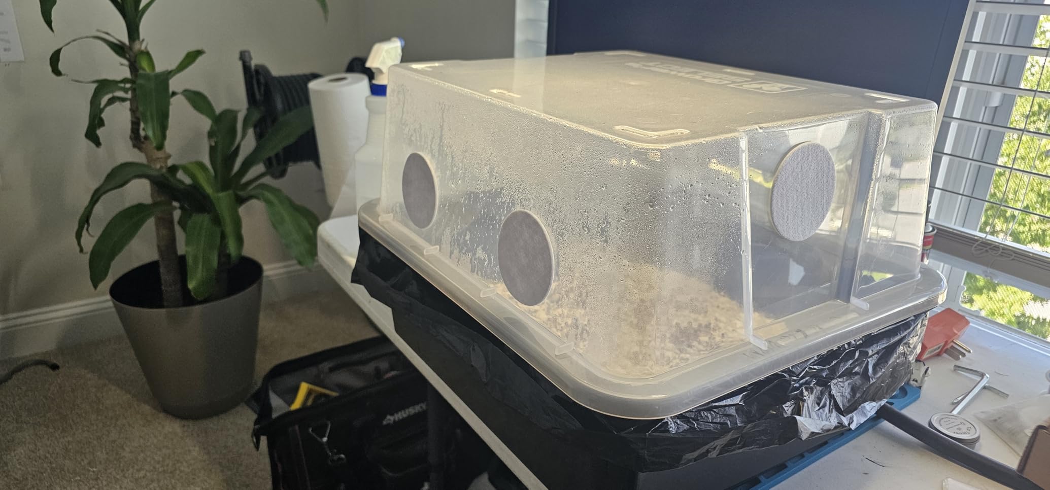 Myco Labs Grower's Select Mushroom 48Q Monotub Fruiting Chamber with Filter Disks and Liner customer photo 2