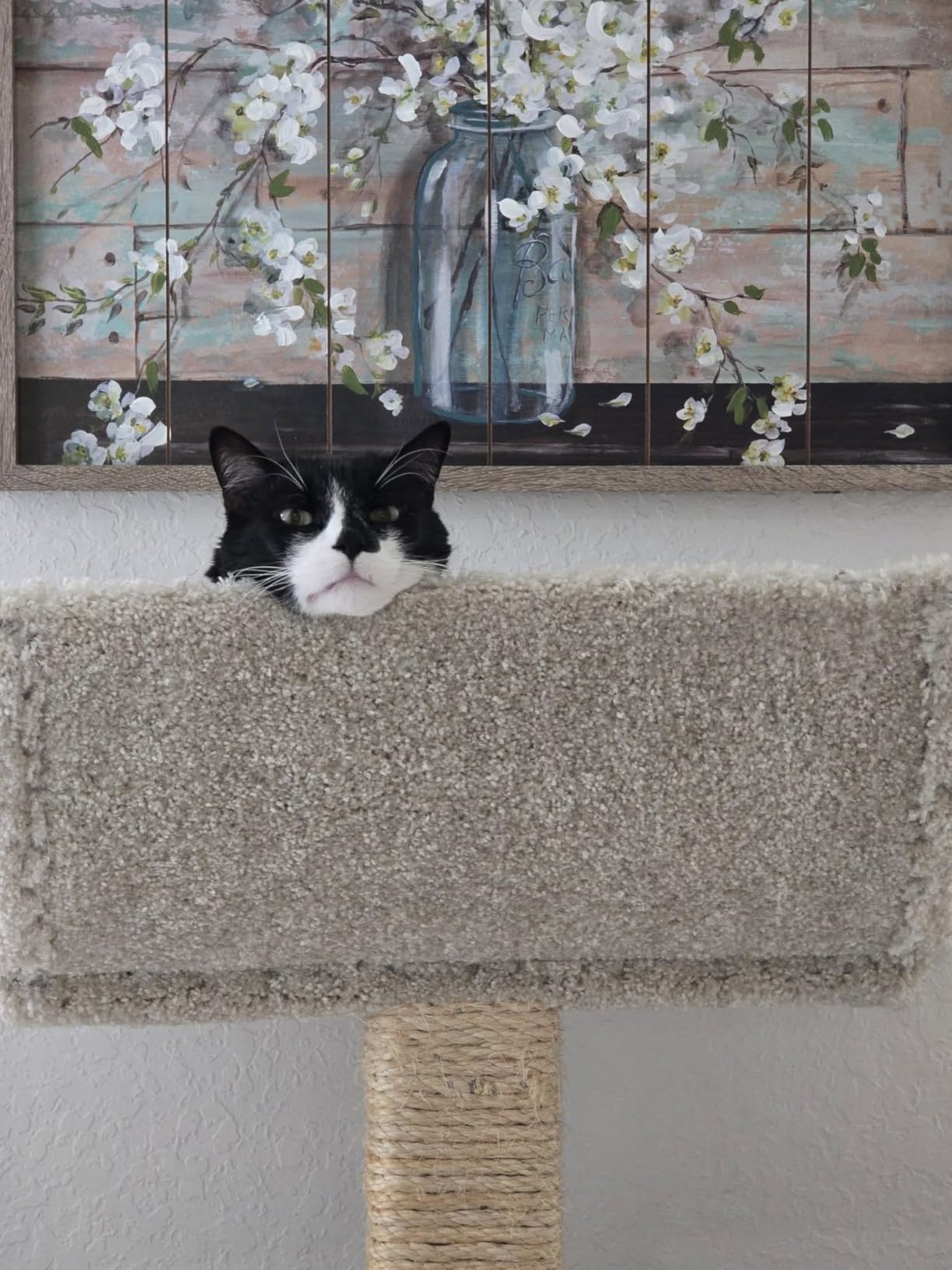Prestige Cat Trees Extra Large Cat Tree Tower for Big Cats customer photo 1