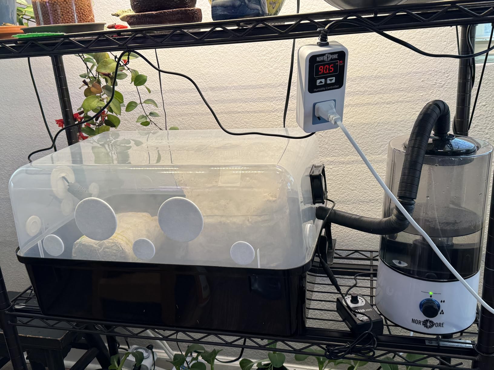 North Spore 'Boomr Bin' Mushroom Cultivating Monotub with 1