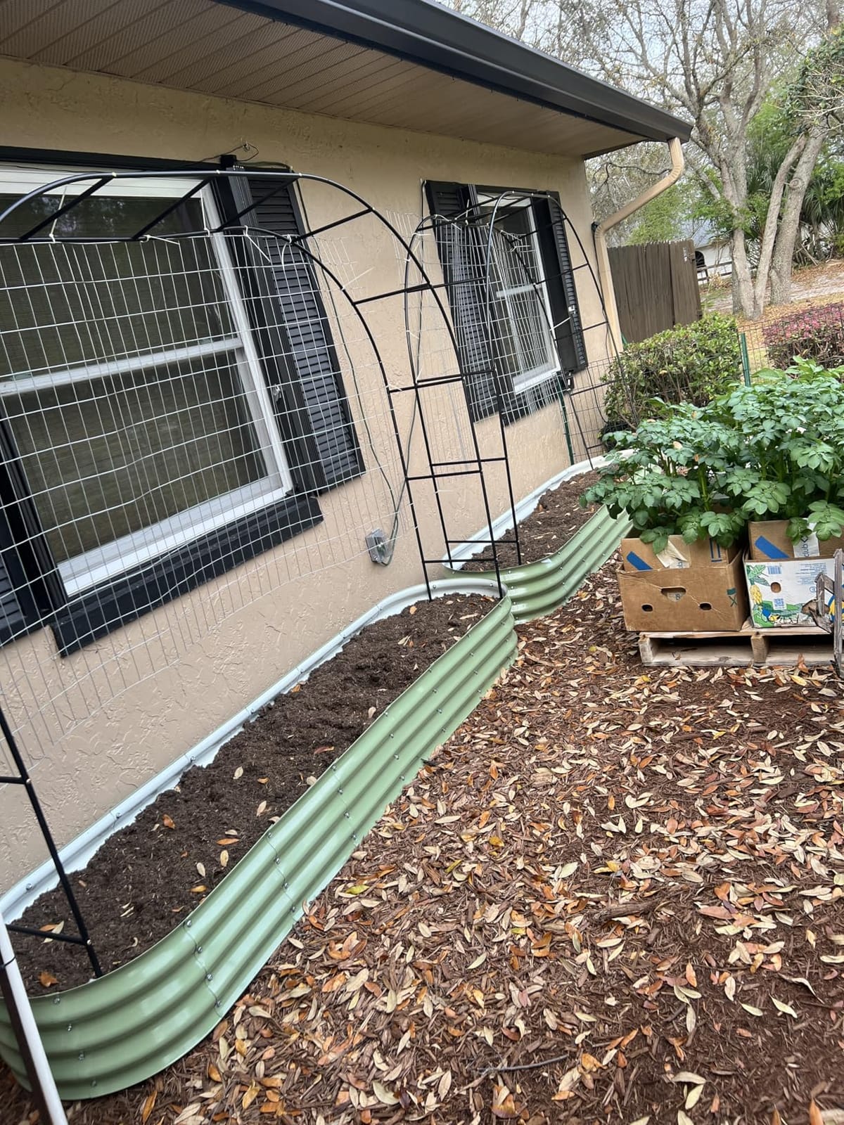 Winpull Raised Garden Bed Kit, 4x2x1 ft Galvanized Planter Box Outdoor with Safety Edging, Large Metal Raised Beds for Gardening Vegetables Flower Herb (Avocado Green) customer photo 2