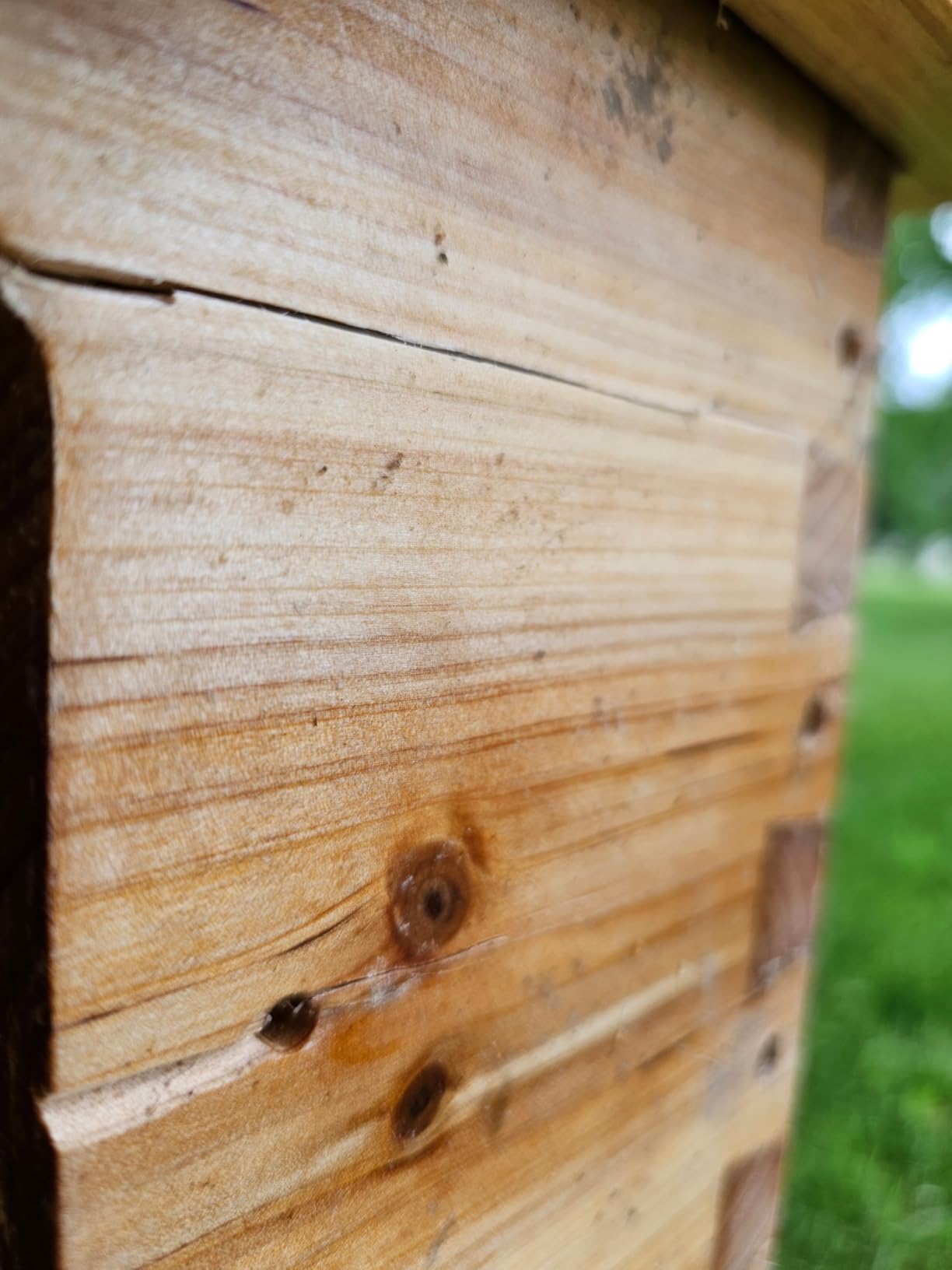 BeeCastle 10-Frame Langstroth Beehive with Windows, Beeswaxed Coated Bee Hive for Beginners with Beehive Frames and Waxed Foundations (2 Deep Bee Boxes & 1 Medium Super Bee Box) customer photo 2