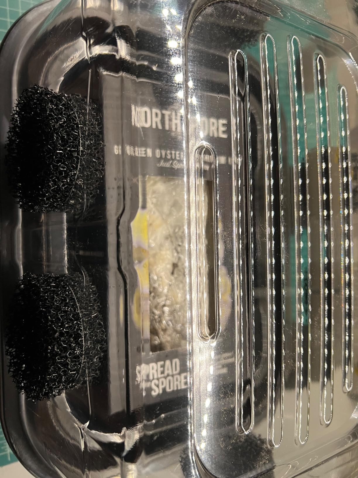 Mushroom Growing Kit, Monotub Stackable Grow Box, Fruiting Chamber with FAE Filters, Indoor Use, 12.6 x 12.6 x 6.3 inches, Clear and Black customer photo 2