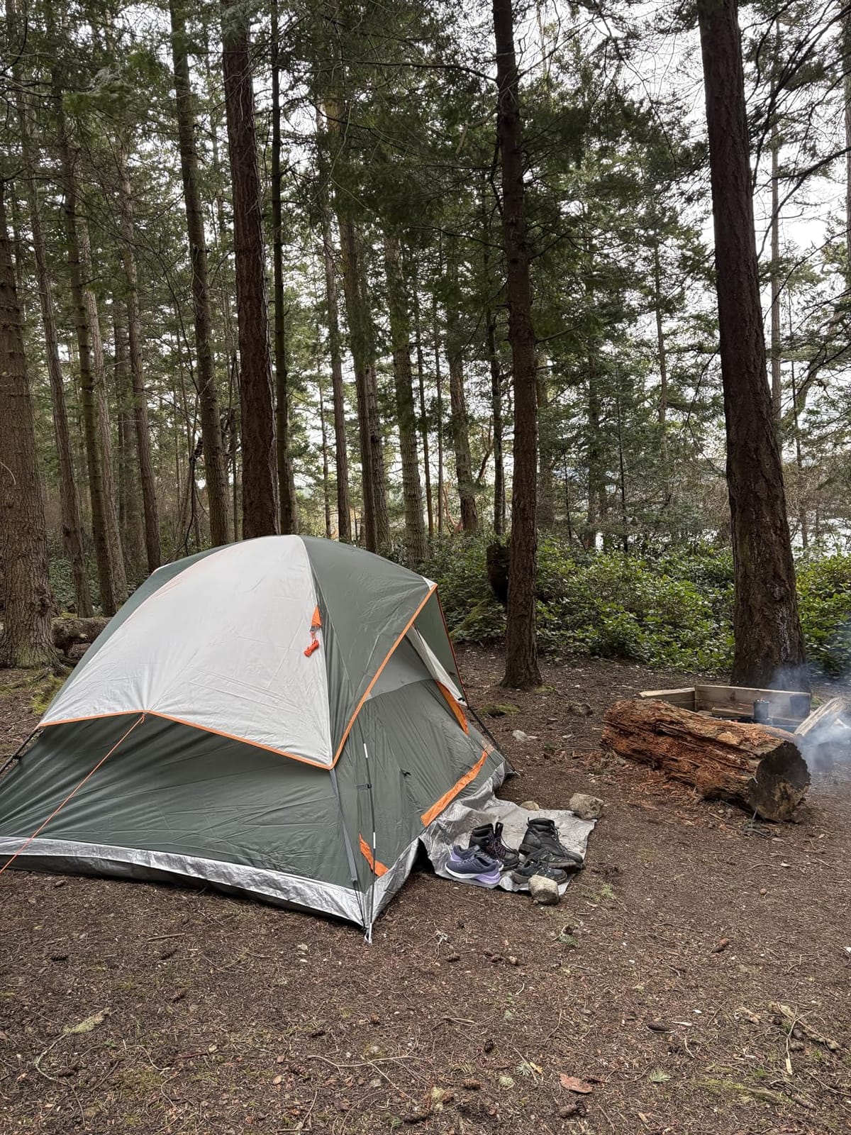 JELUCAMP 1/2/4/6 Person Dome Tents for Camping Lightweight Backpacking Tent customer photo 1