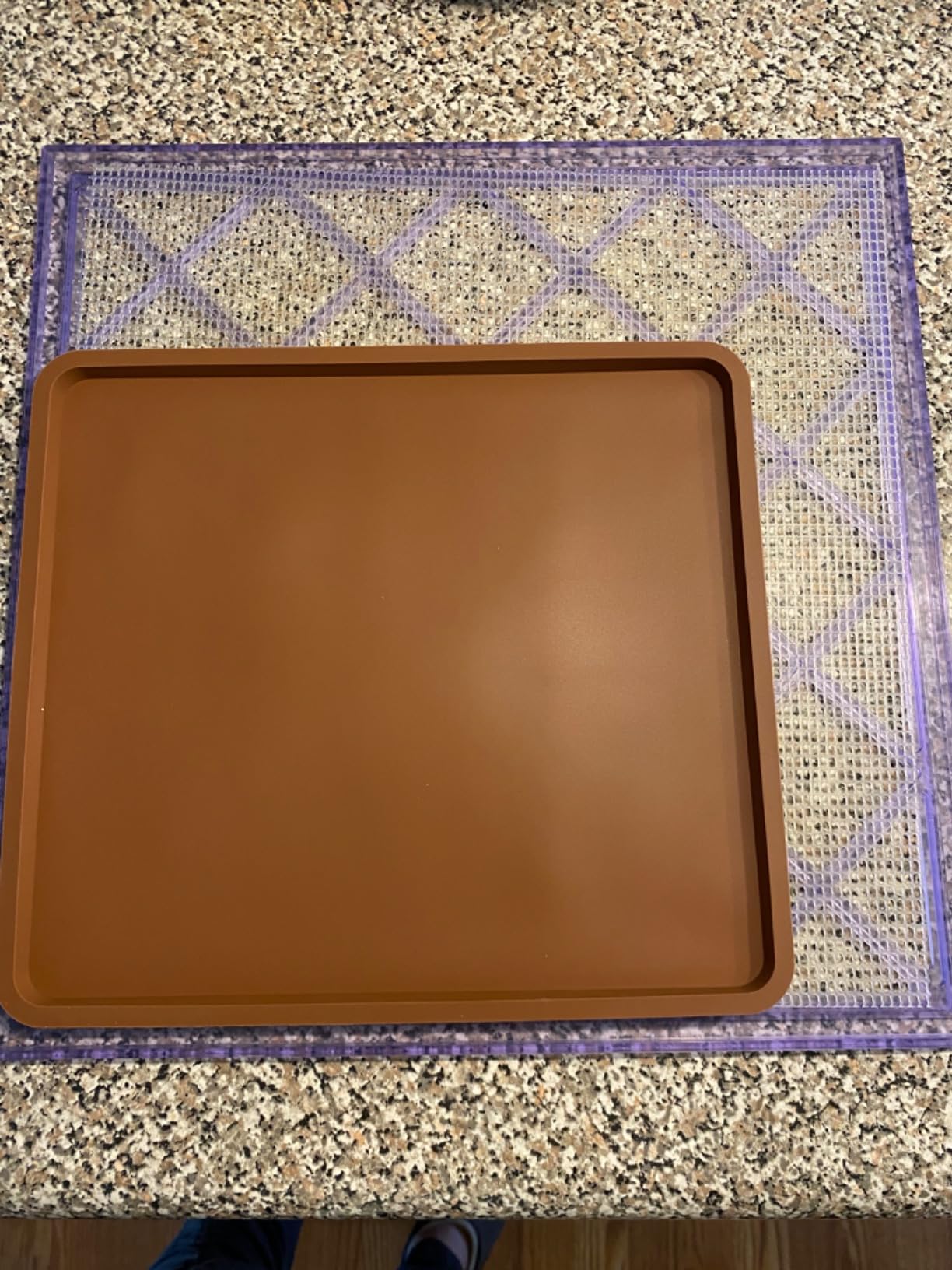 6 Pcs Silicone Dehydrator Sheets with Edge for 14