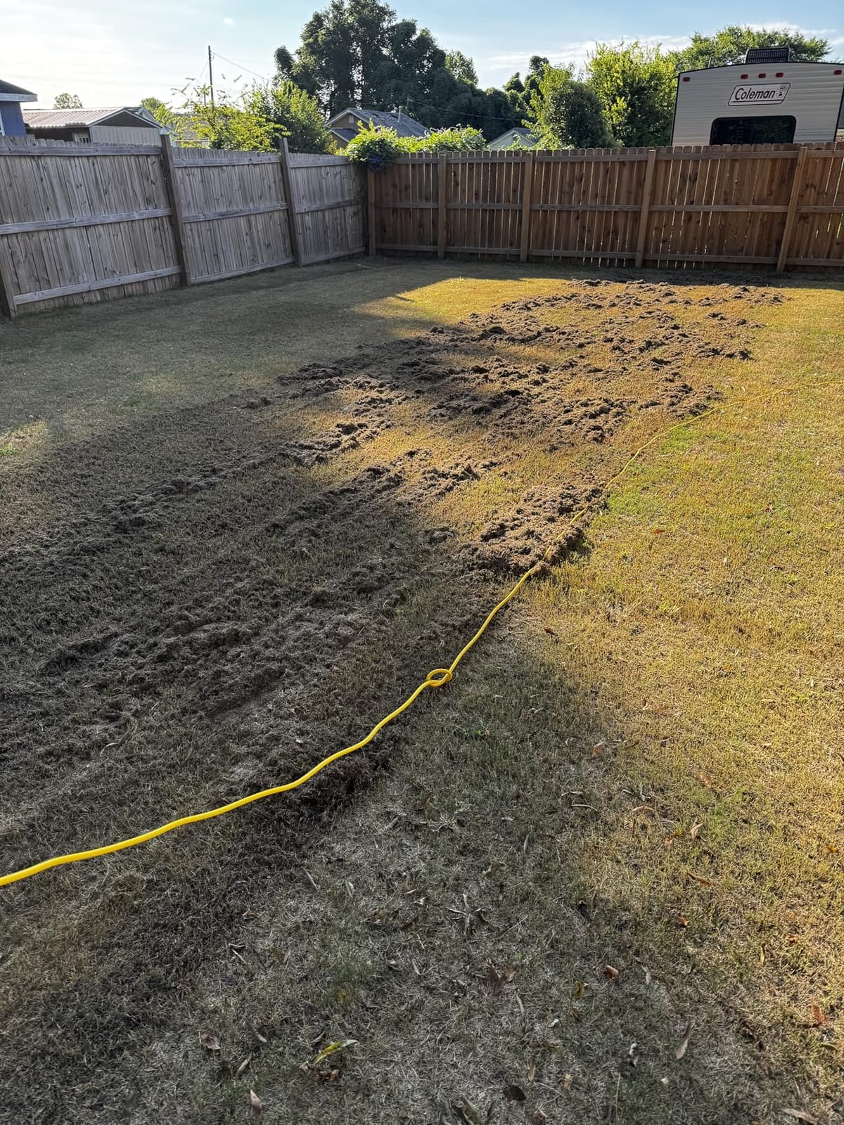BILT HARD 16 Inch Dethatcher Scarifier Electric Powered, 15 Amp Copper Motor, 5-Position Depth Adjustment, 14.5 gal Thatch Bag, 2 in 1 Walk Behind Thatch Removing Machine for Lawn customer photo 2