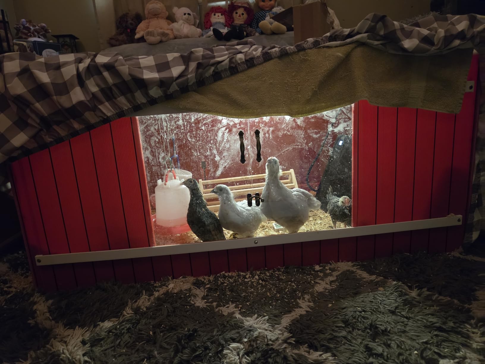 RentACoop Big Red Barn Chick Brooder customer photo 2