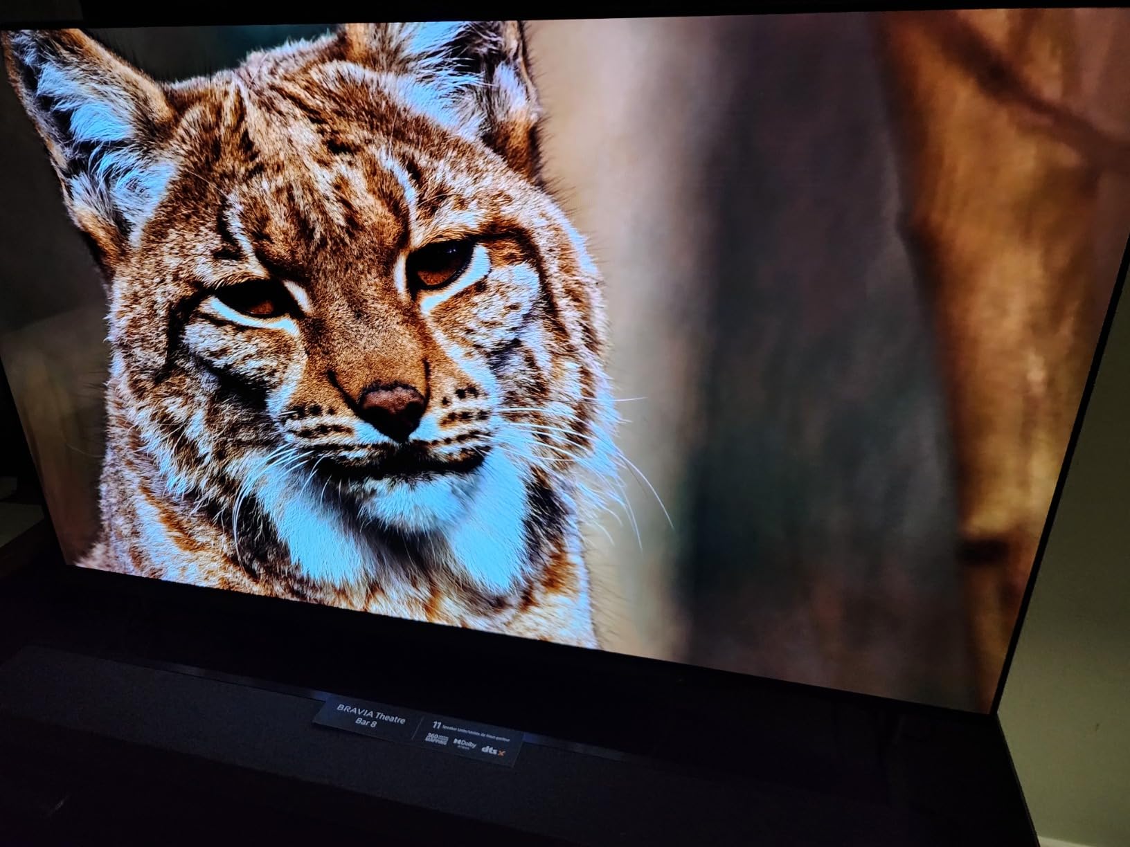 Sony 55 Inch BRAVIA 8 OLED 4K HDR Smart Google TV (K-55XR80) customer photo 1