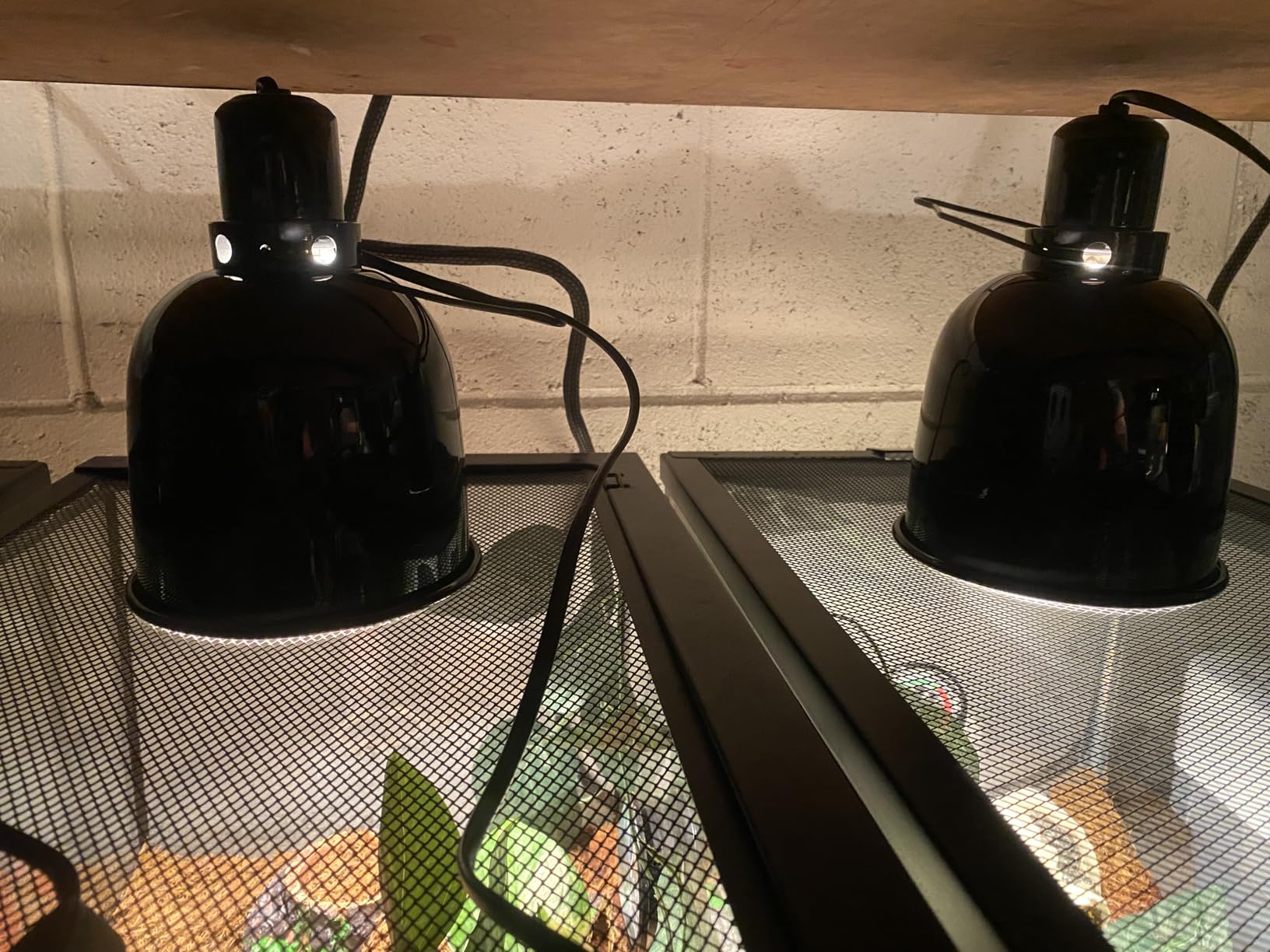 Reptile Light Fixture, 5.5'' Standard Dome for Reptile Basking Bulb Light/Heat Lamp/Ceramic Heat Emitter, 5.5 Inch Light Dome customer photo 1