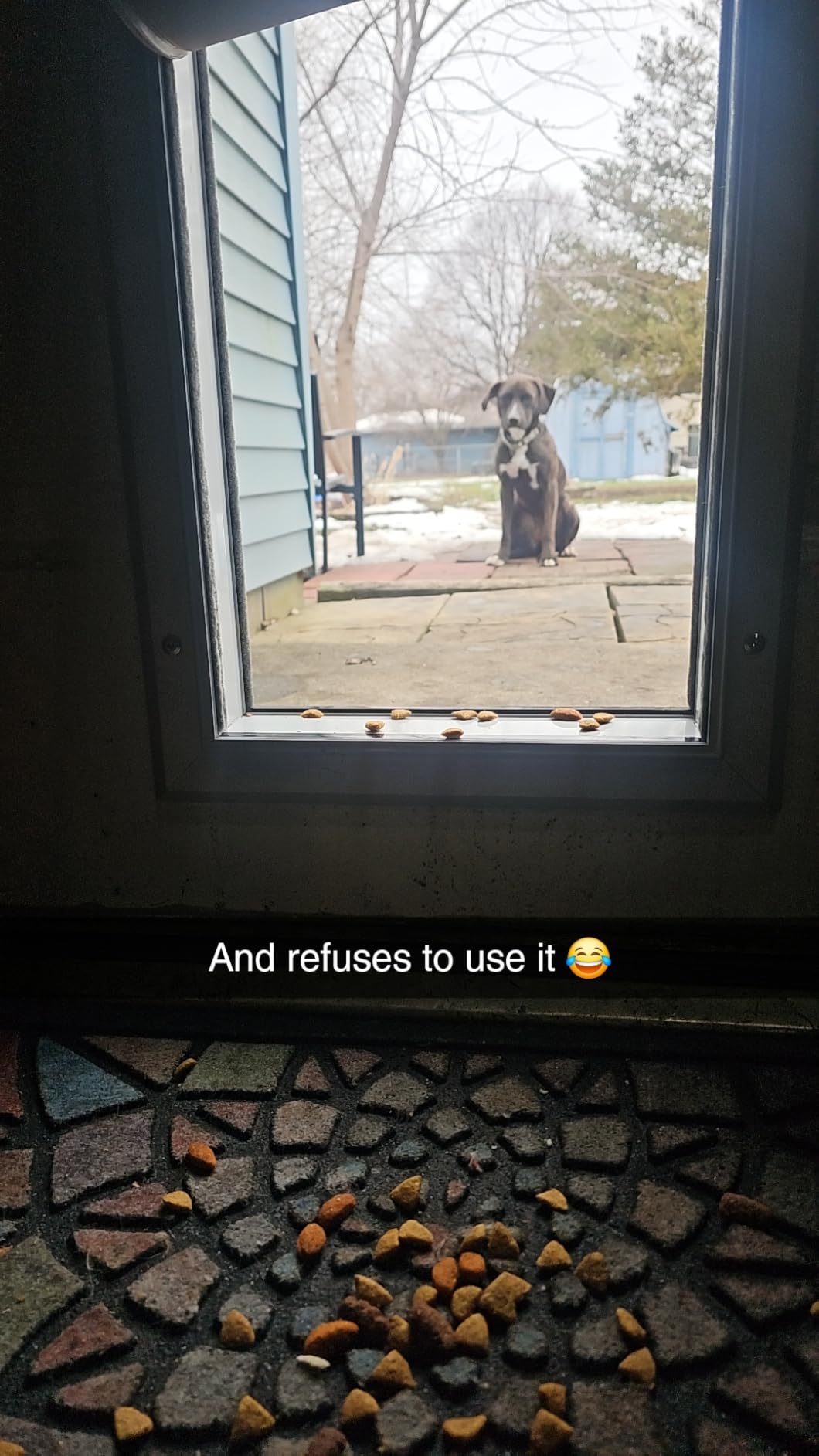 [Petoasis] 3-Flaps Heavy-Duty Dog Door, Rust Proof Aluminum Alloy Frame customer photo 1