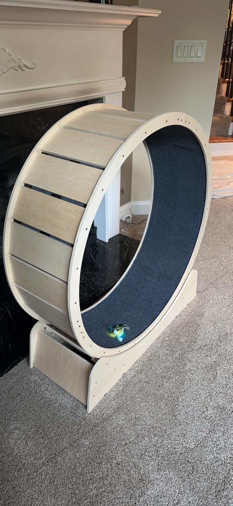 Large Cat Exercise Wheel 40 Inch Treadmill Exerciser for Indoor Cats Love Kitty Running Toy Walking Training for Fitness Weight Loss Device Suitable for Most Cats Physical Exercise Activity customer photo 1