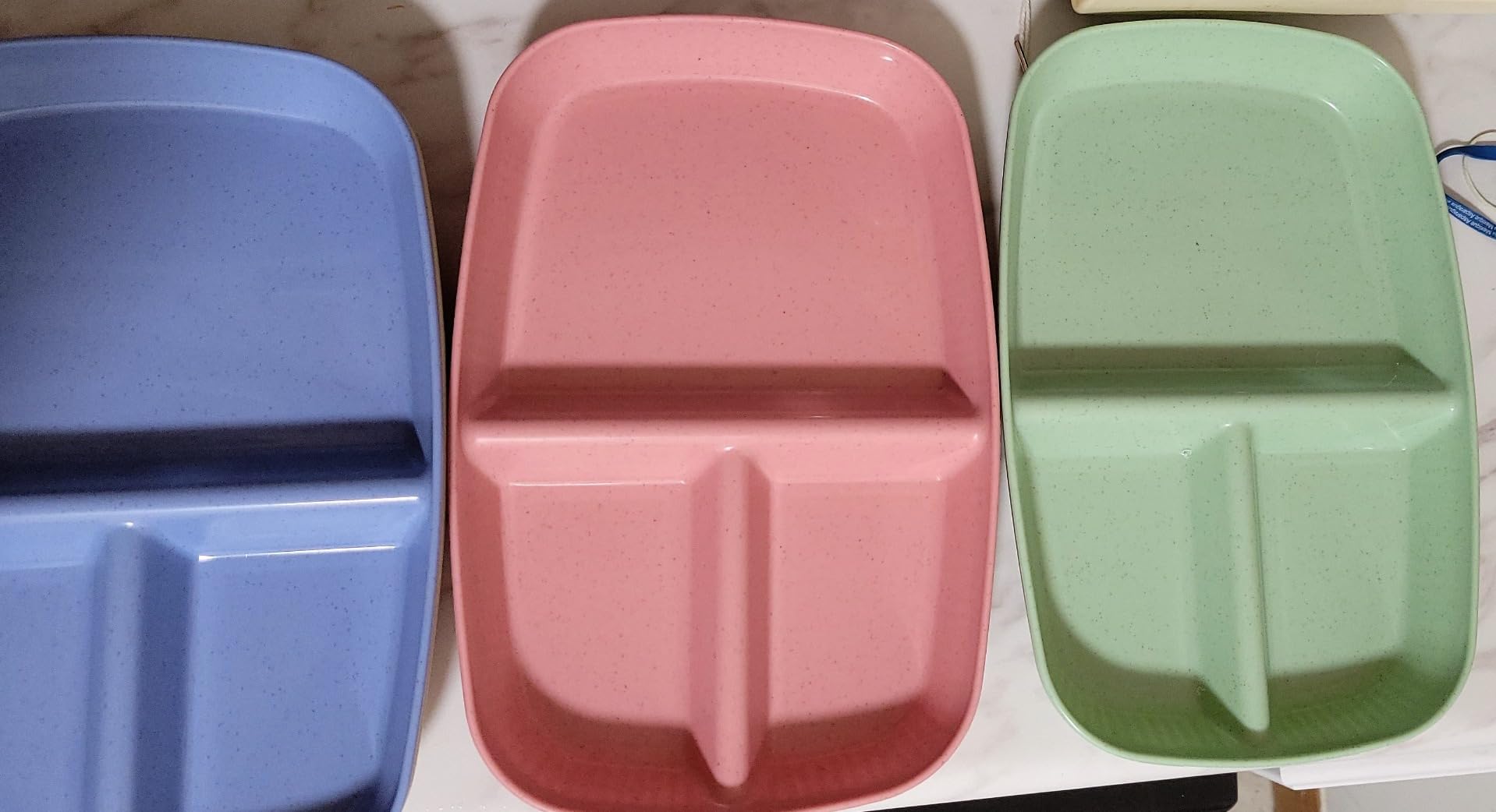 Divided Plates 10.5 Inch for Adults, Portion Control Bariatric Plate, Wheat Straw Plates with 3 Compartments, Unbreakable Reusable Portion Control Plates, BPA Free(4PCS) (INS Series-4PACK) customer photo 1