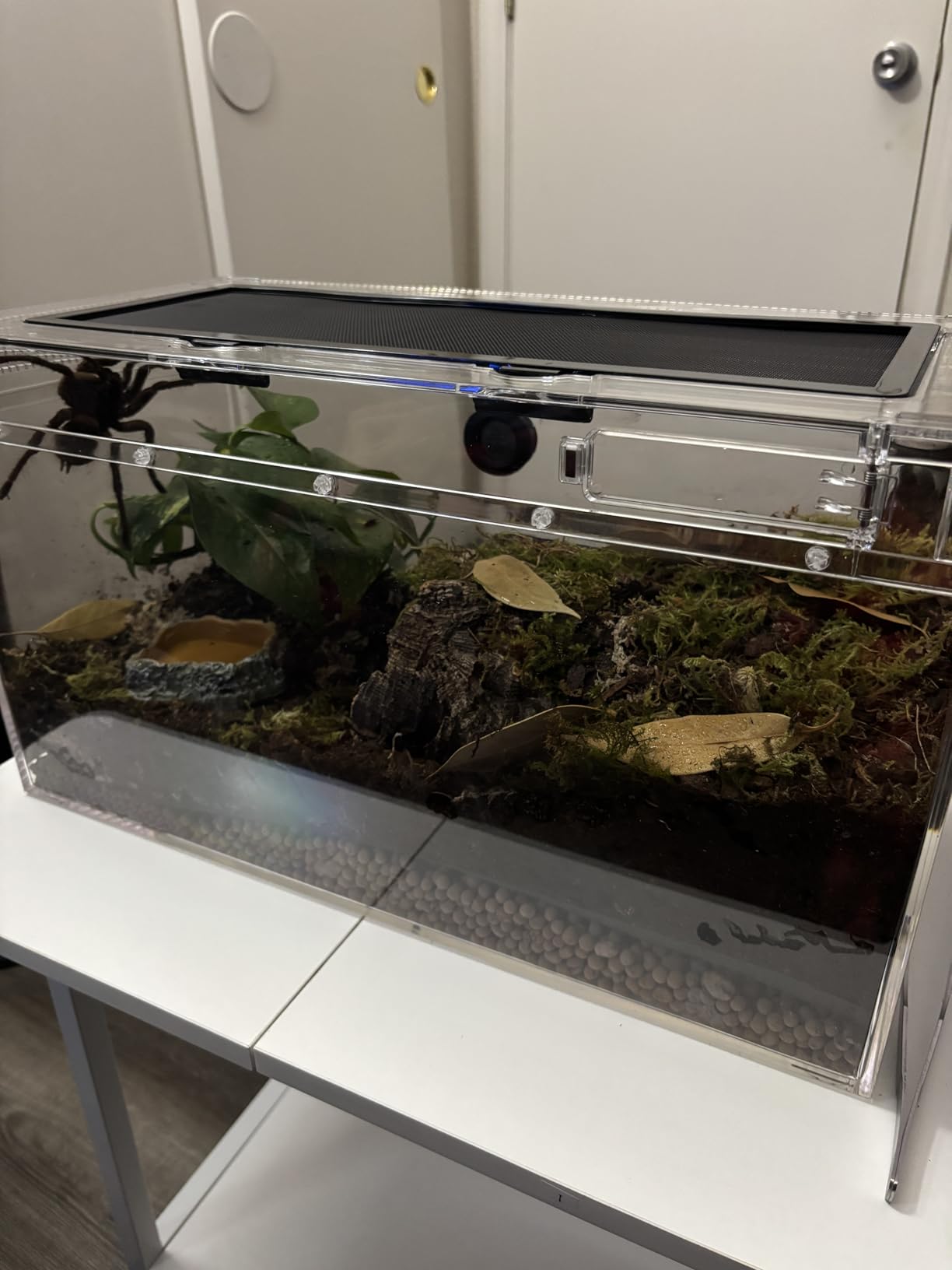 Reptile PC Terrarium Set, Reptile Tank 20