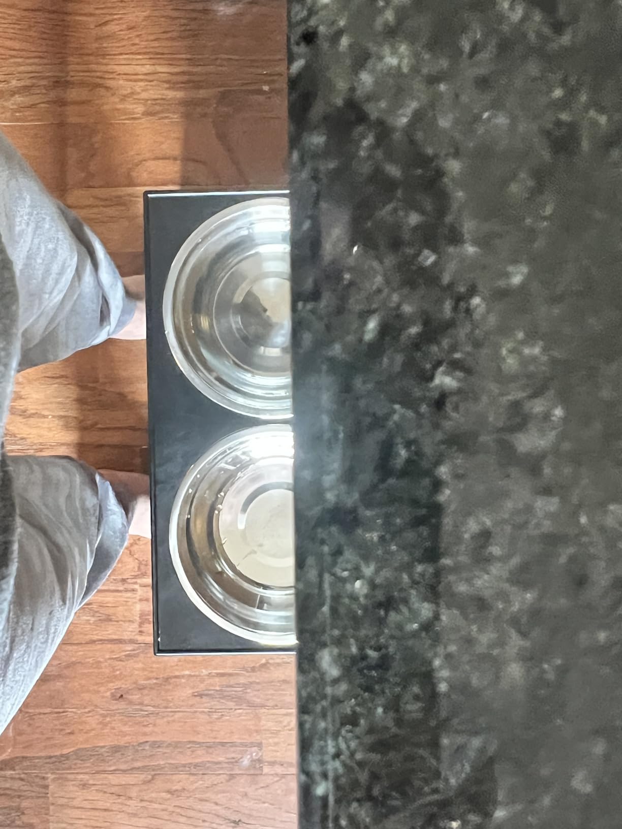 Elevated Dog Bowls with 5 Adjustable Heights Stand customer photo 1