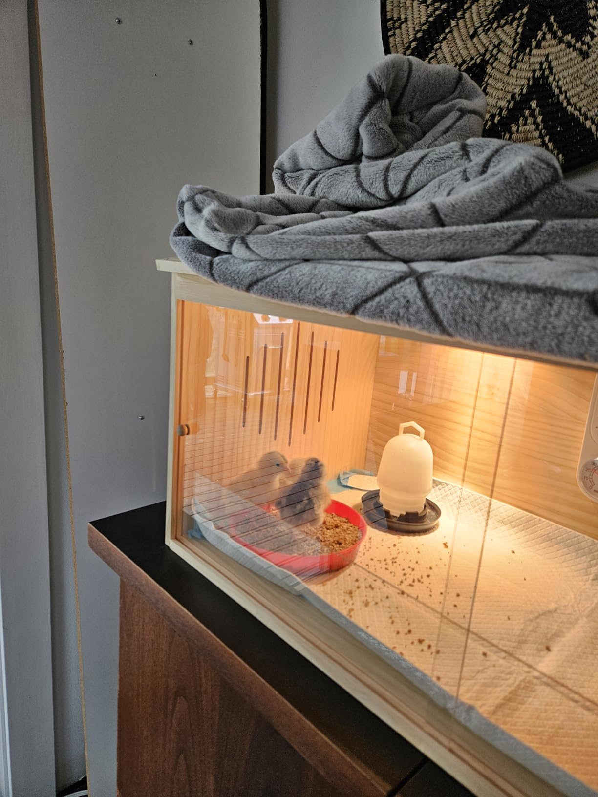 Large Wooden Chicken Brooder Box with Bulb Set and Thermometer - Brooder Box for Chicks Indoor Accommodates Up to 12 Chicks - Ideal for Chickens, Ducks, Quails, Hamsters, and Lizards(32x16x16 Inches) customer photo 1