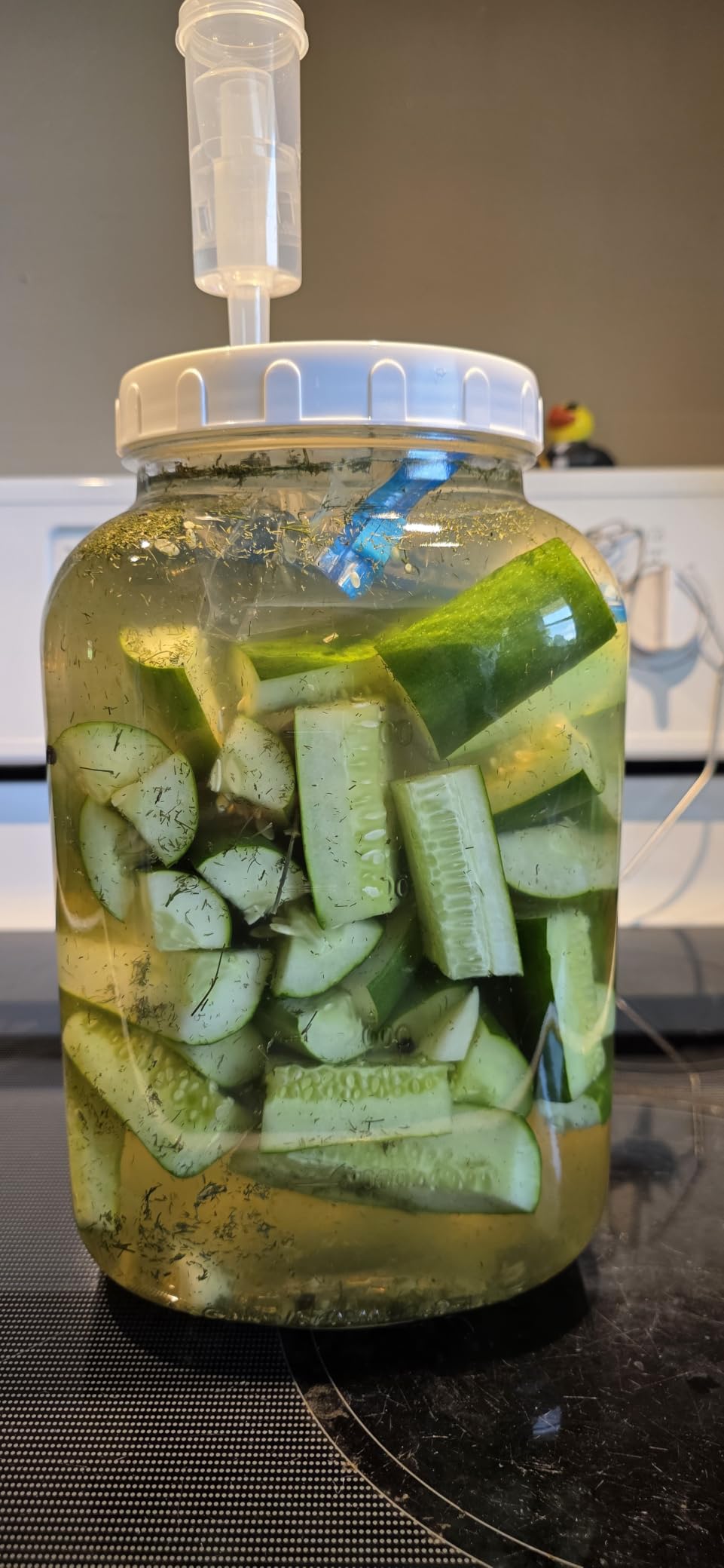 Folinstall 1.5 Gallon Large Fermentation Jars, Wide Mouth Glass Mason Jar customer photo 1
