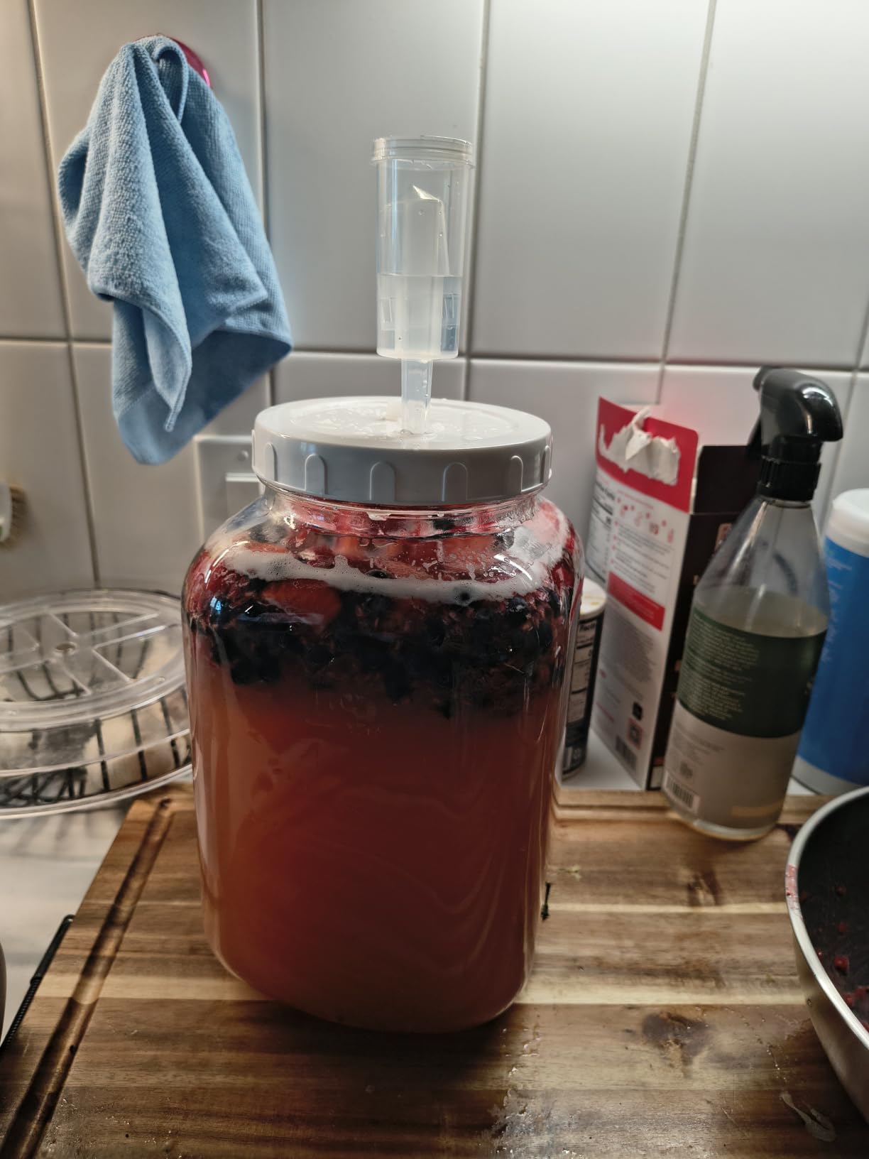 Folinstall 1.5 Gallon Large Fermentation Jars, Wide Mouth Glass Mason Jar customer photo 2