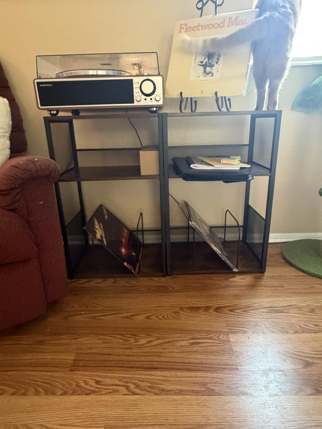 VASAGLE 3-Tier Record Player Stand, Vinyl Record Storage up to 100 Albums | Side Table, End Table for Living Room, Bedroom, Rustic White, DACEY Collection ULET275W01 customer photo 2