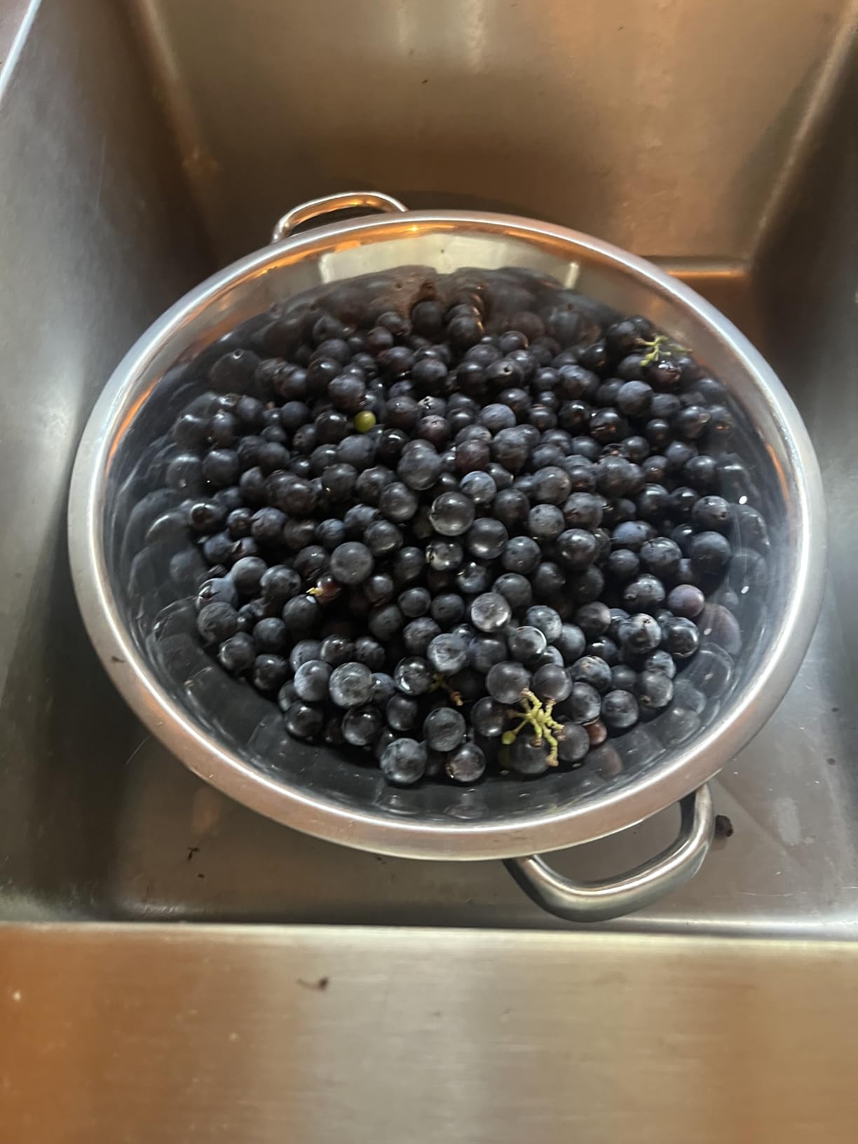 VIVOHOME Stainless Steel Steam Juicer for Canning Fruit and Grape Juice customer photo 1