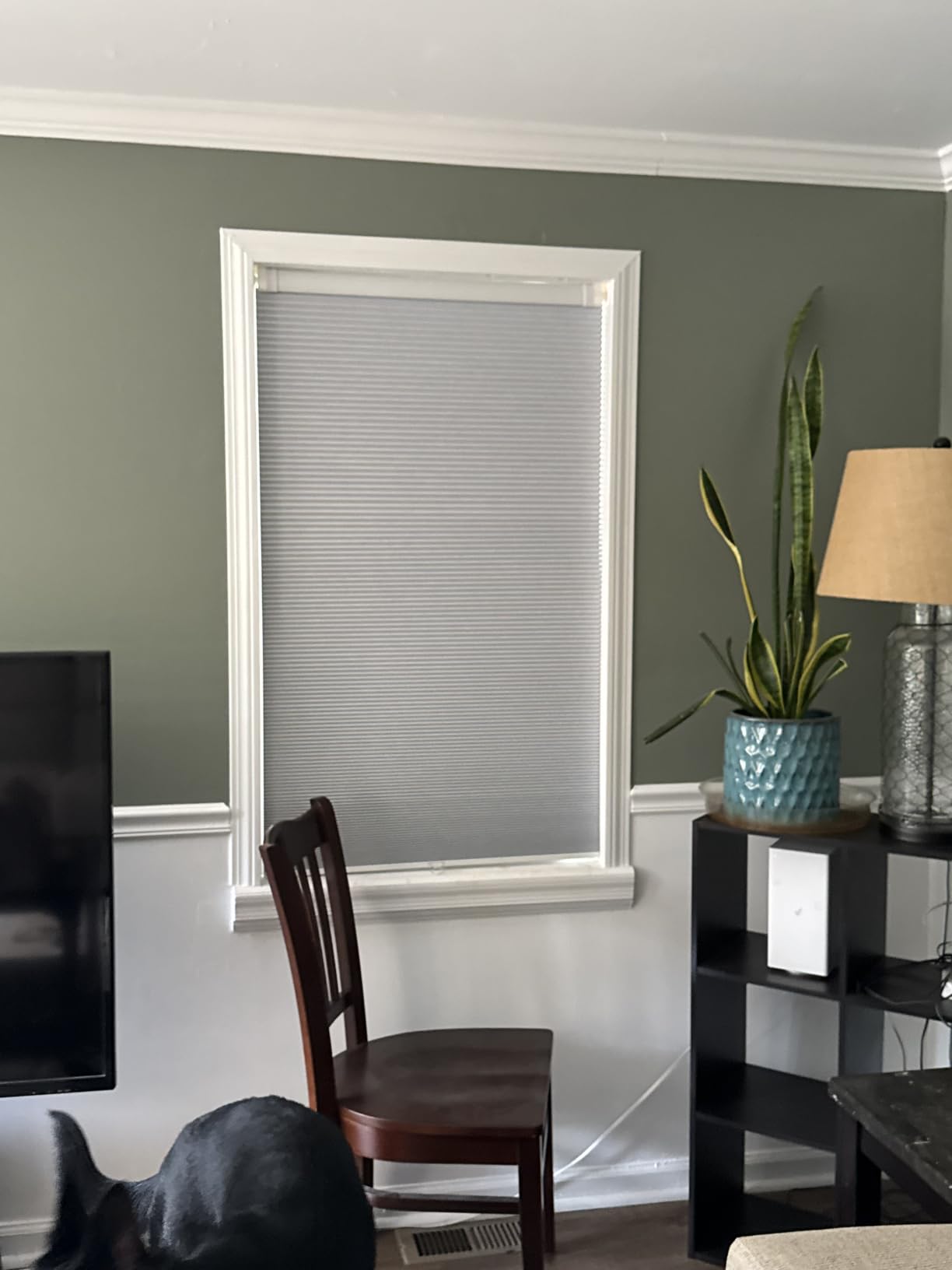 LazBlinds No Drill Cordless Cellular Shades, 22