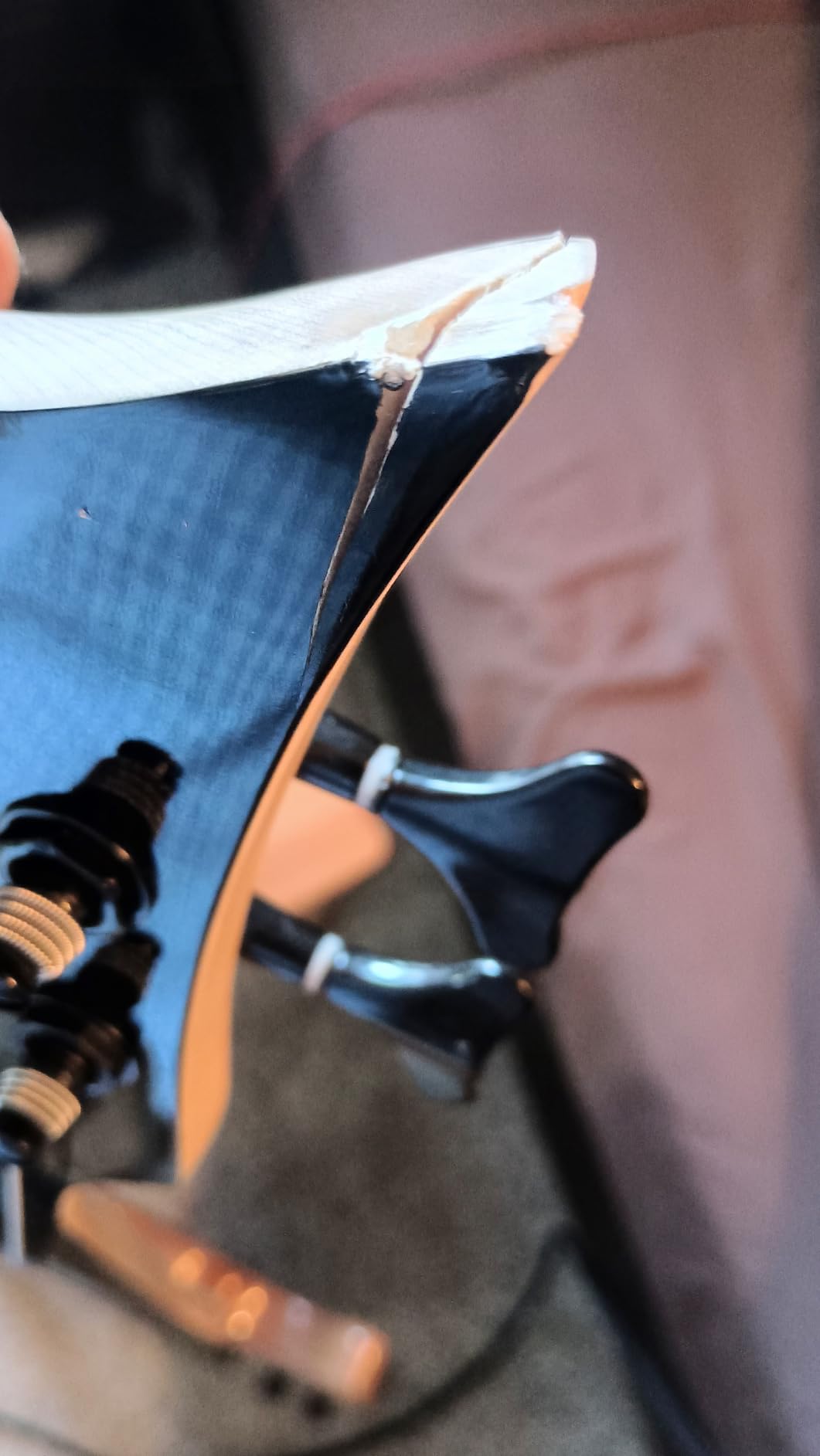 TARIO Fretless 6 String Electric Bass Bolt_On Maple Neck,basswood Body customer photo 1