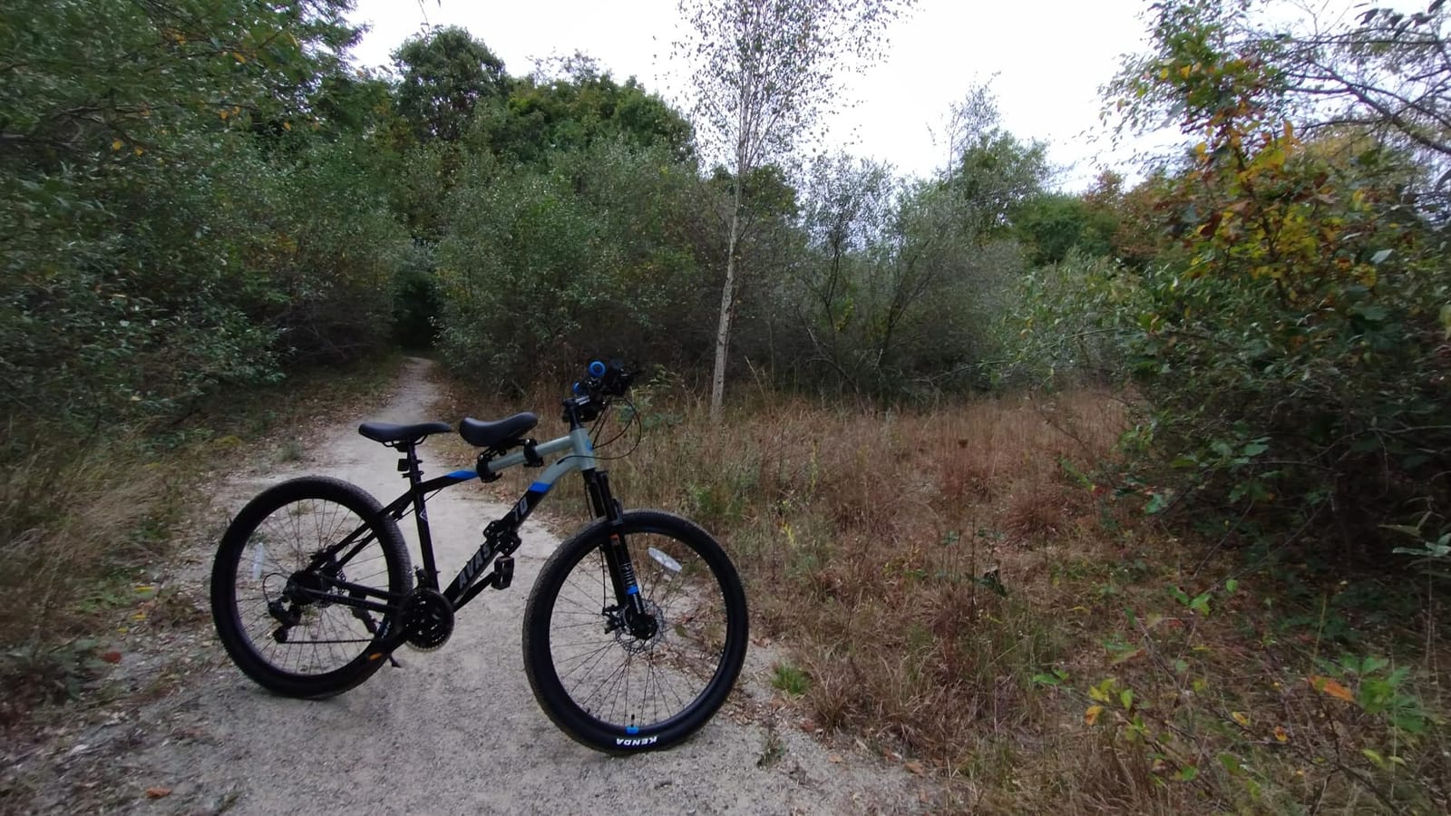 AVASTA Earth 26 27.5 Inch Mountain Bike MTB for Adult Man Women Male customer photo 1