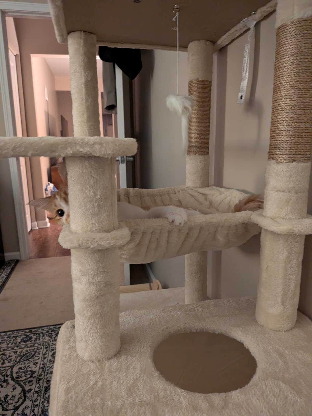 Globlazer Heavy Duty Cat Tree, 70 inch Sturdy Cat Tree for Indoor Cats Extra Large Cat Tower with Scratching Post, Hammock, Cat Condo for Adult Cats Kittens, F70 Pro, Light Grey customer photo 1
