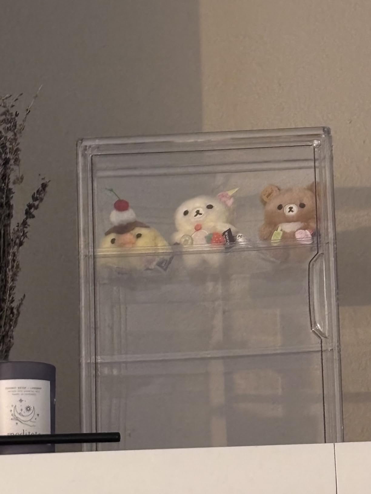 Attelite Acrylic Display Case for Collectibles 4 Tiers Clear Acrylic Box customer photo 1