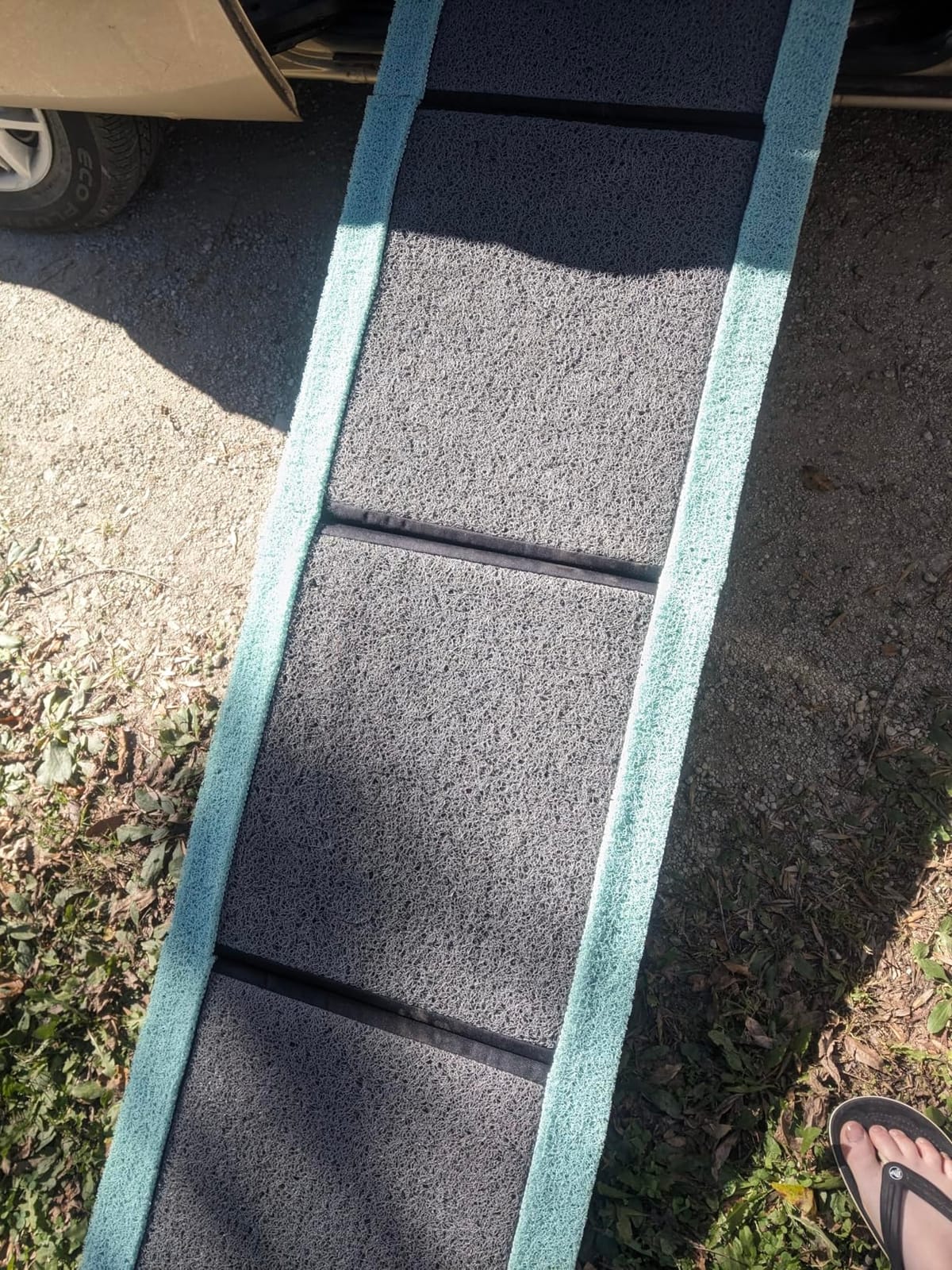 Classroom Ramp 12 Best Dog Ramps (September 2026)