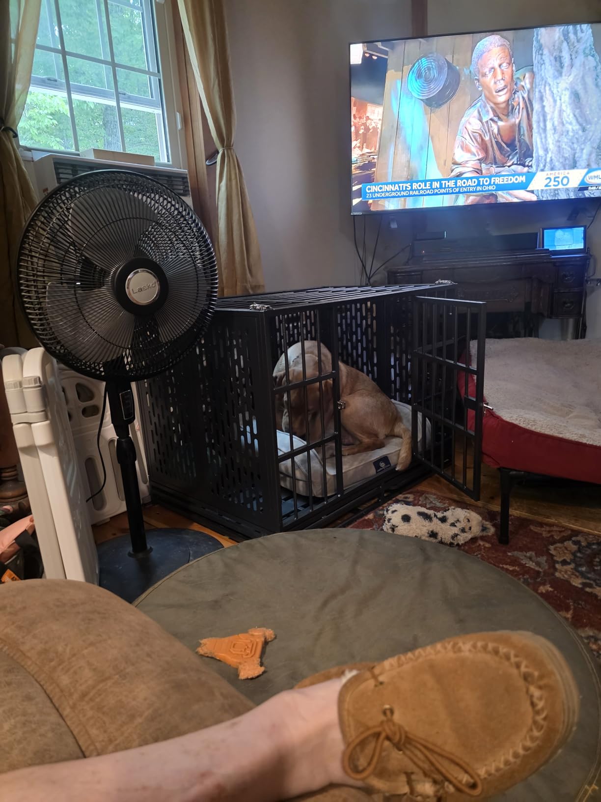 Snuowu 38 Inch Heavy Duty Dog Crate with Wheels, Metal Big Dog Cage for Large and Medium Dogs, Extra Large XL XXL Indestructible Dog Crate with Removable Tray. customer photo 1