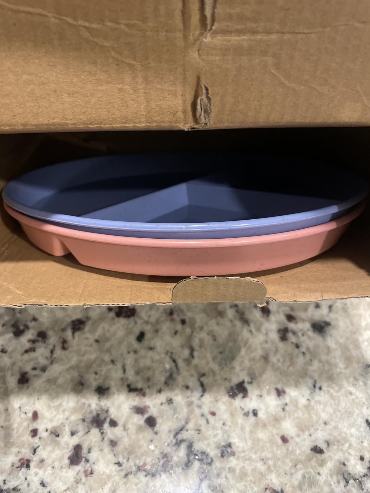 Divided Plates for Adults (8 Packs), Unbreakable Portion Control Plate Sectioned with Dividers, 9 Inch Plastic Food Separator Dinner Plates Lightweight Compartment BPA Free Reusable Microwave Safe customer photo 1