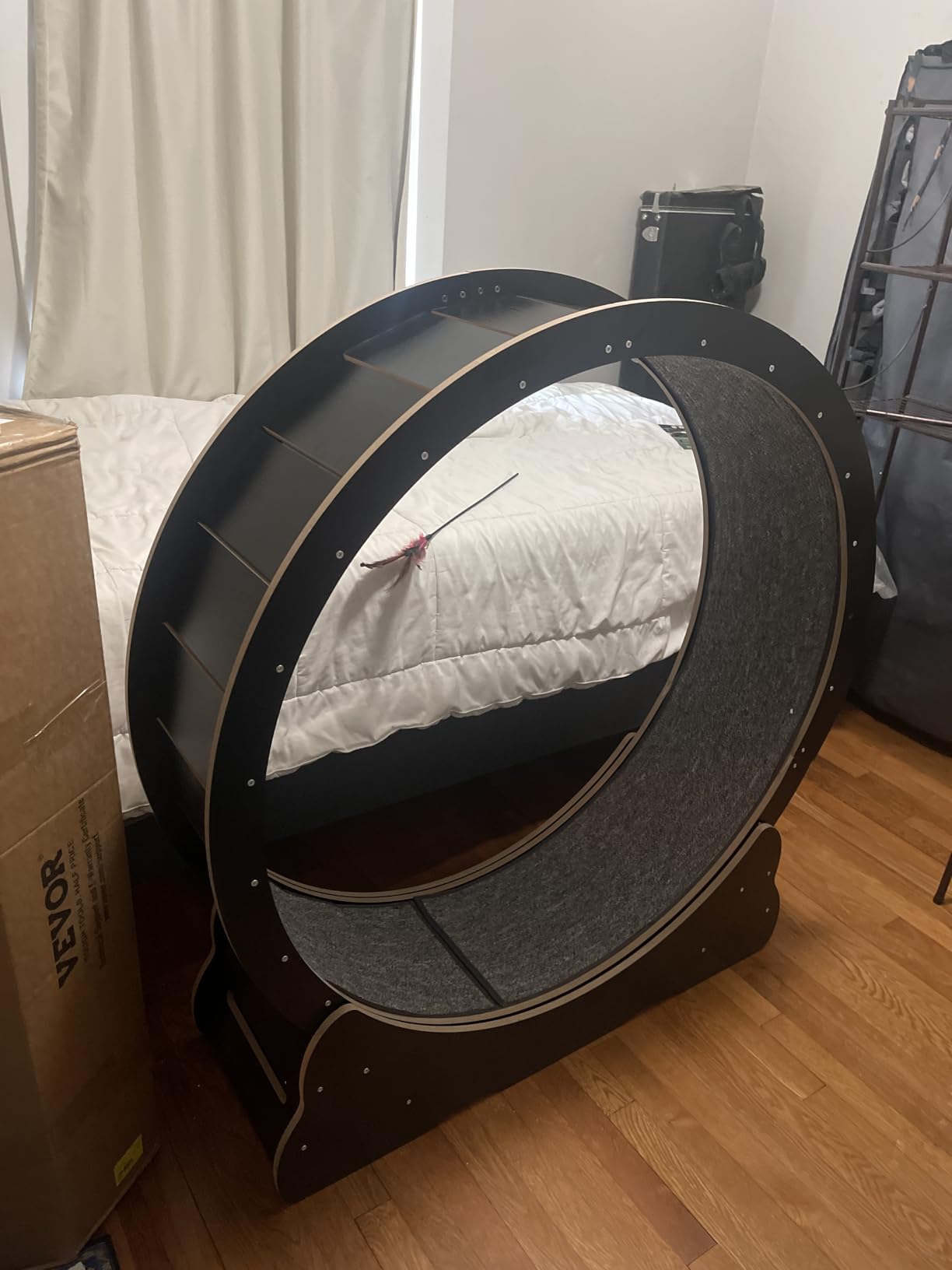 VEVOR Cat Exercise Wheel, Large Cat Treadmill Wheel for Indoor Cats, 35.8 inch Pet Running Wheel with Detachable Carpet and Teaser for Running/Walking/Training, Suitable for Most Cats customer photo 1