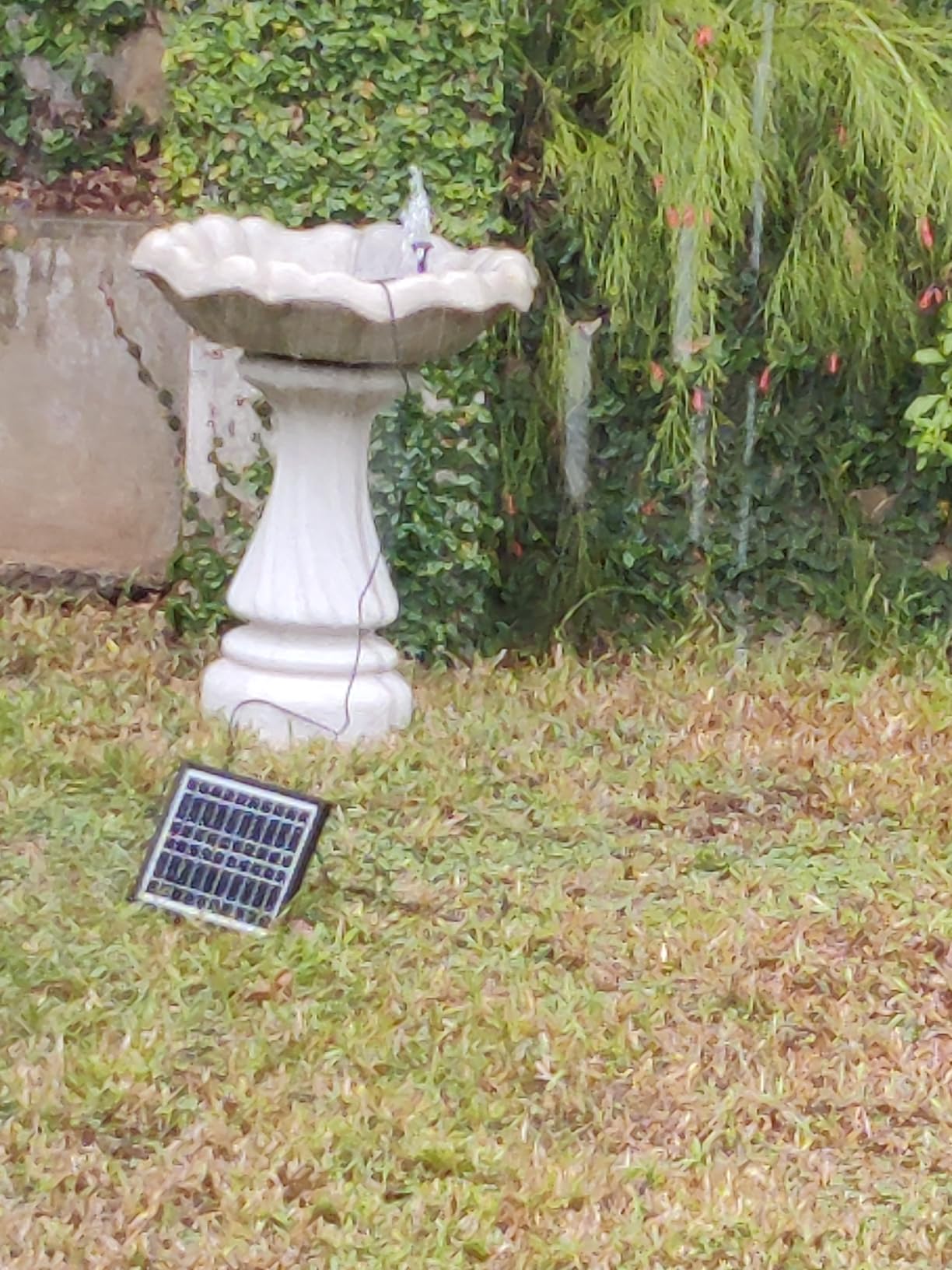 POPOSOAP 6.5W Solar Fountain Pump for Bird Bath Built-in 3000mAh Battery Backup, DIY Solar Water Fountain with Double-Layer Nozzles & Dry-Run Protection 5Ft Tubing for Ponds, Bird Bath, Water Features customer photo 2
