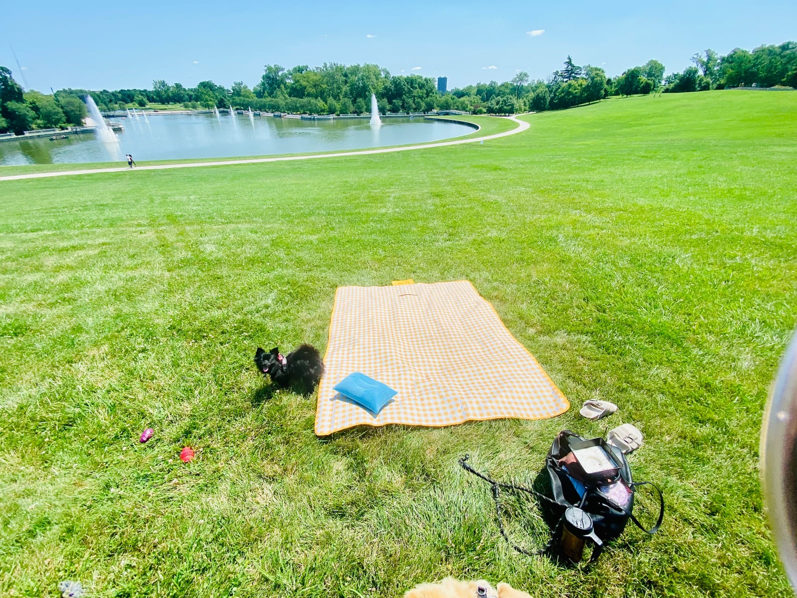 SAMSIER Outdoor Picnic Blankets Waterproof Foldable, Large Beach Blanket Sandproof, Gingham Picnic Mat Cute Washable Portable (Navy Blue, 80