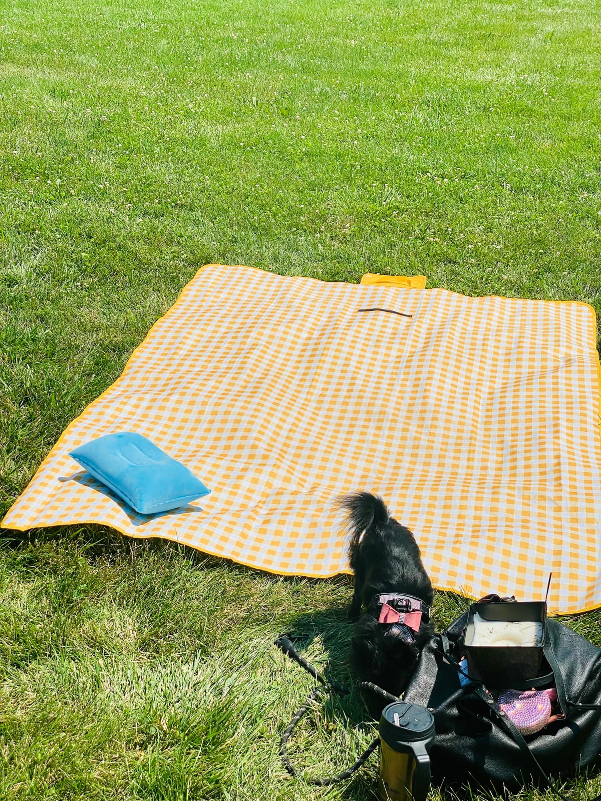SAMSIER Outdoor Picnic Blankets Waterproof Foldable, Large Beach Blanket Sandproof, Gingham Picnic Mat Cute Washable Portable (Navy Blue, 80