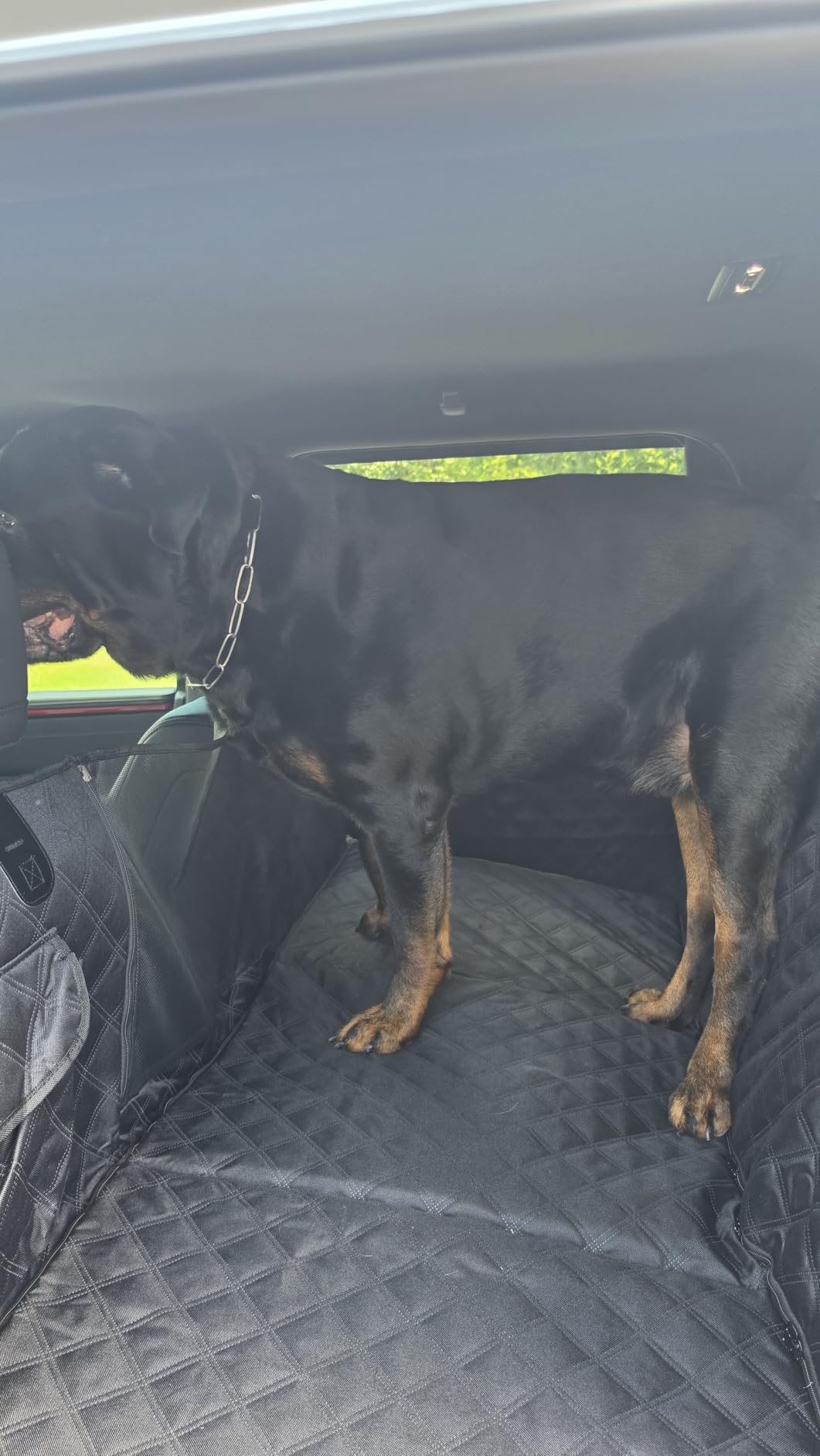 Ruff Liners XL Back Seat Extender for Dogs - Hard Bottom Adds 40% More Space, Holds Up to 400 lbs, Waterproof, Machine-Washable, Heavy-Duty Back Seat Cover for Dogs customer photo 1