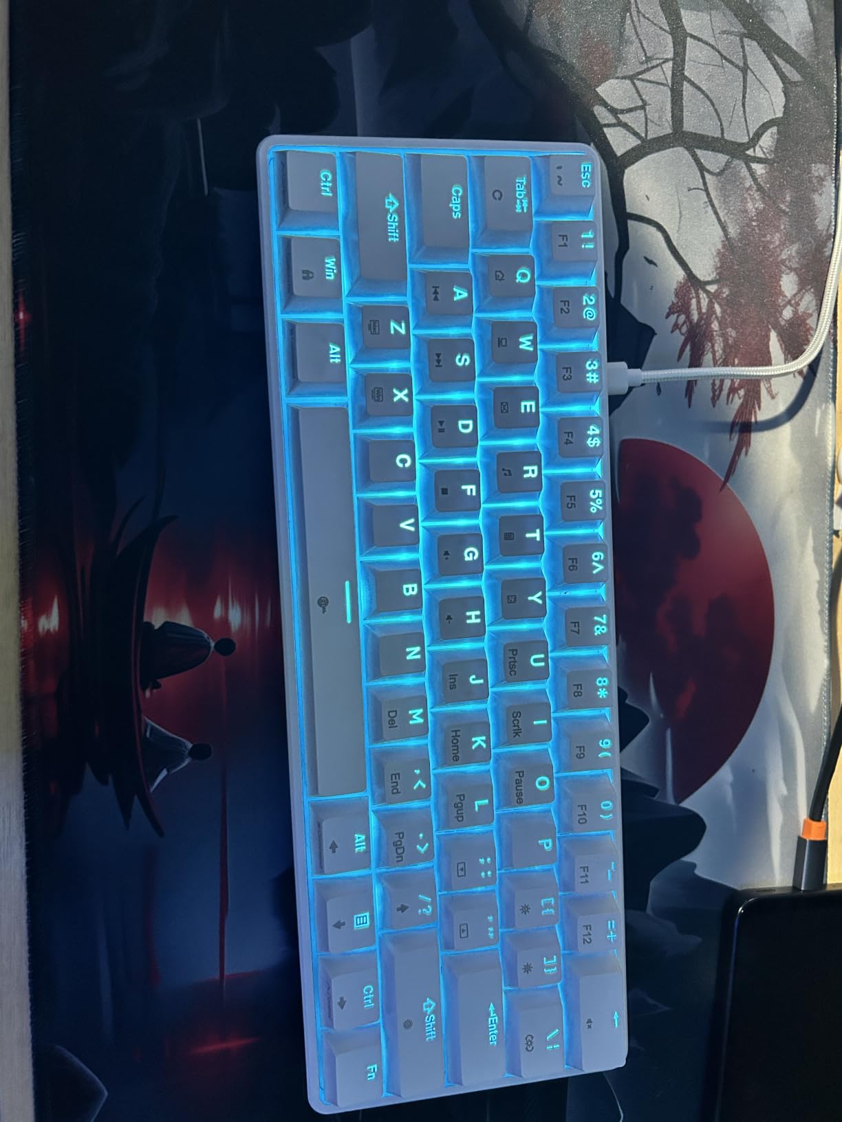 TMKB 60% Mechanical Gaming Keyboard, Red Linear Switch, Wired, White | LED Backlight, Anti-Ghosting, Detachable USB-C, Double-Shot Keycaps, 61 Keys customer photo 1