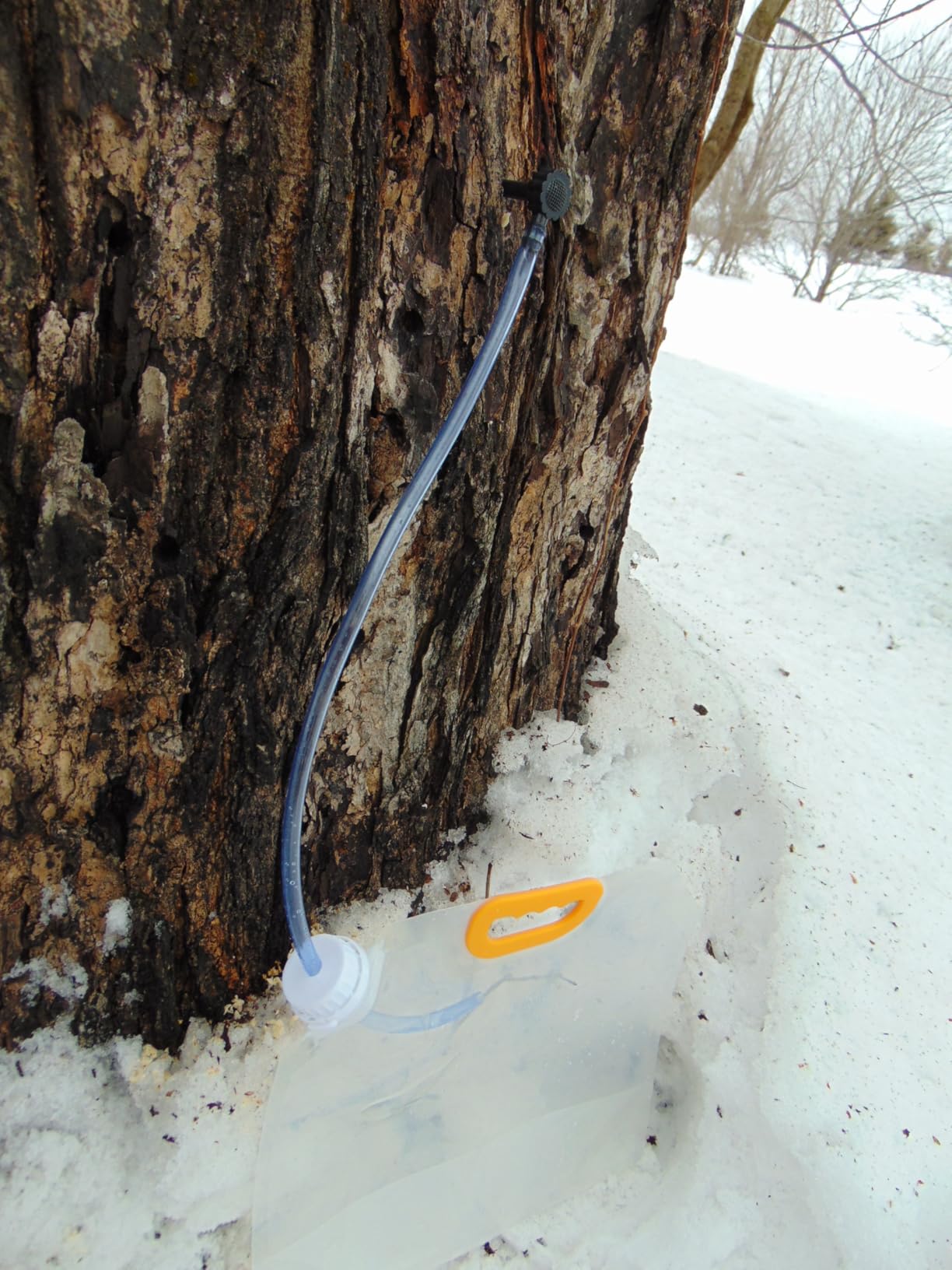 Hazzga Maple Syrup Tree Tapping Kit,15 Sets customer photo 2