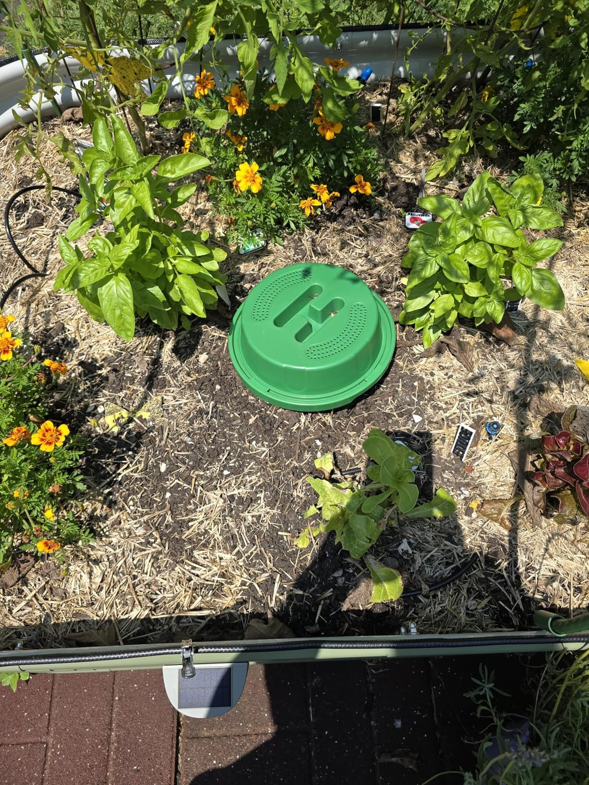2-Pack Inground Worm Composter, Outdoor Worm Compost Bin for Garden Beds & Home Use, Vermicomposting Bin for Beginners (9.5x9.5x10.8Inch), Green customer photo 2